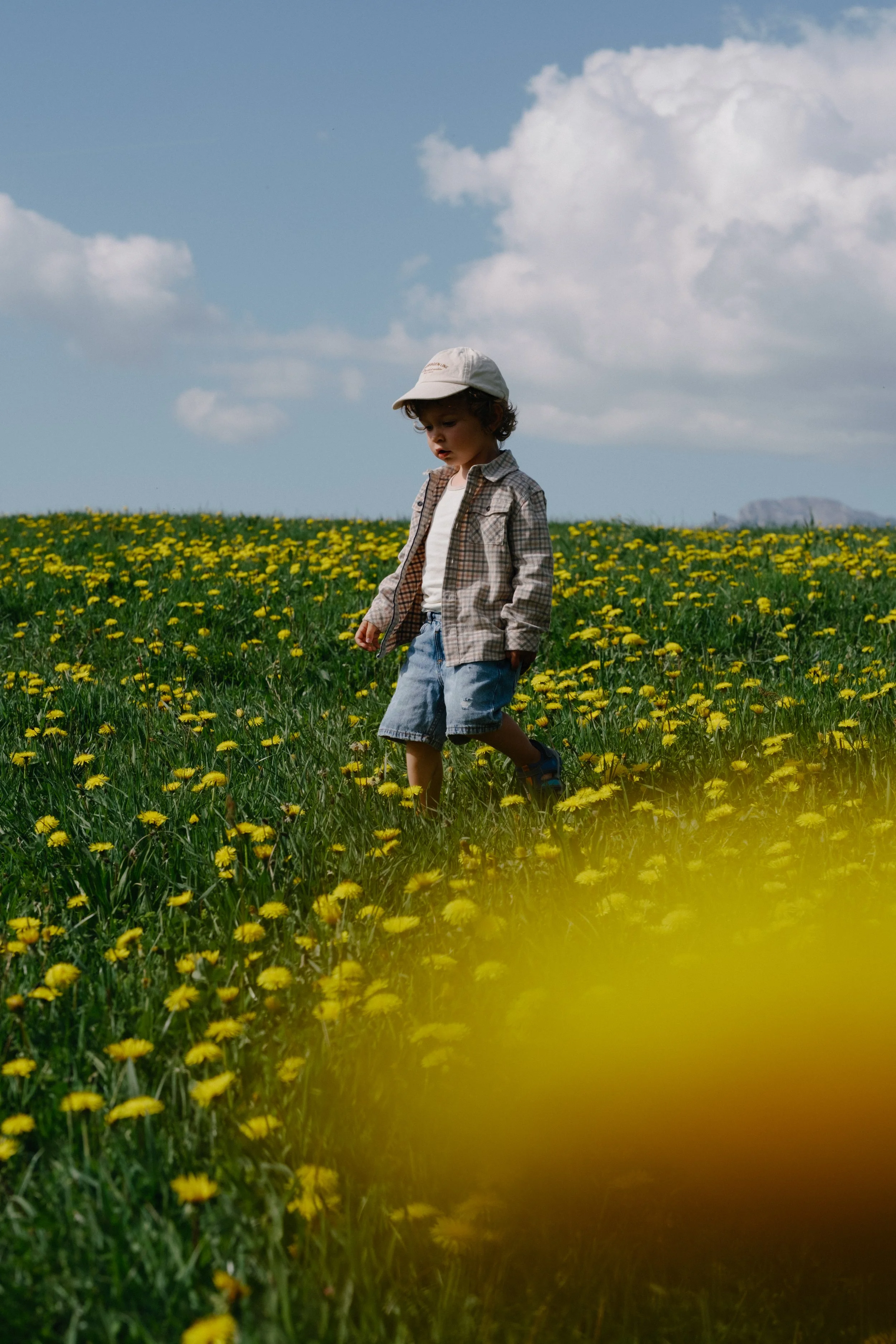 Un garçon marche dans un champ rempli de fleurs jaunes sous un ciel bleu avec quelques nuages blancs.