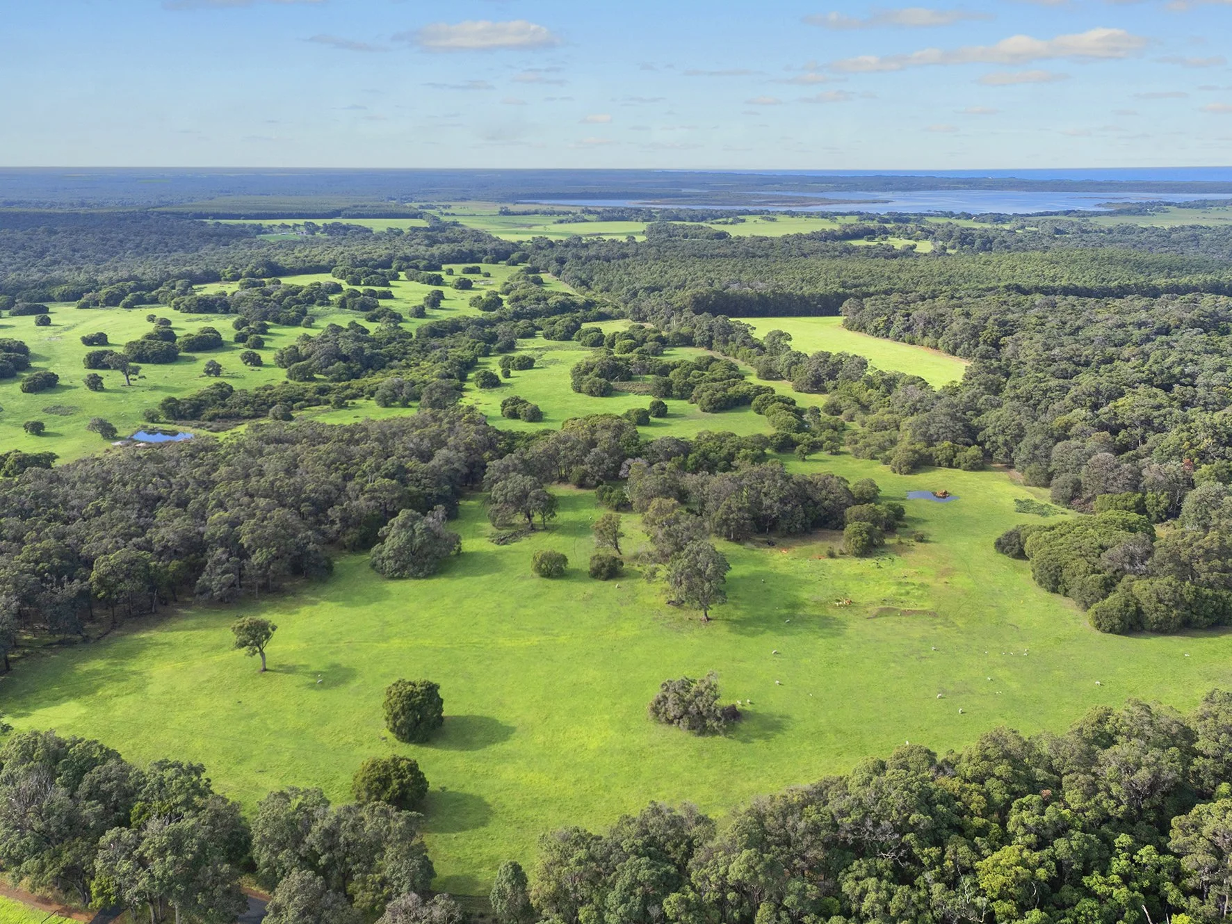 Blackwood Grove at Kudardup