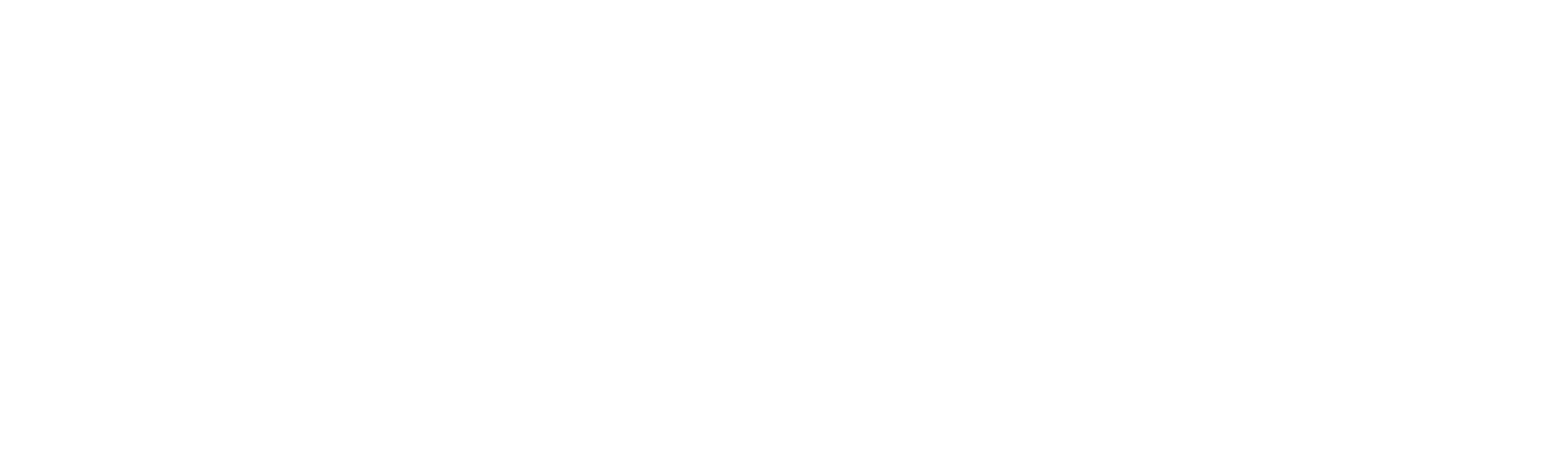 Black and white text graphic reading 'WE DO DEMOCRACY' in uppercase letters.