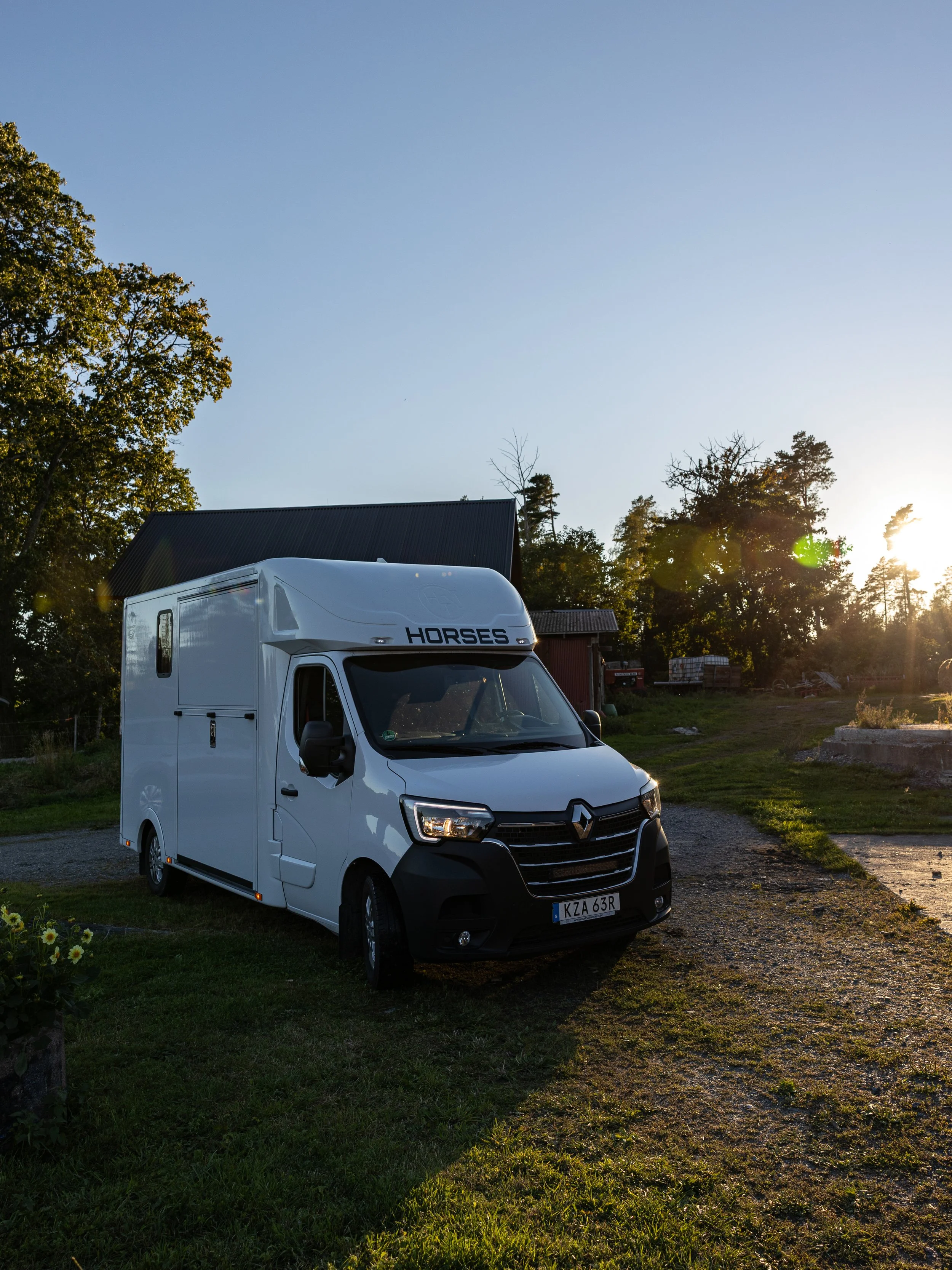 White horse-themed camper van parked on a grassy area at sunset with trees and a building in the background.