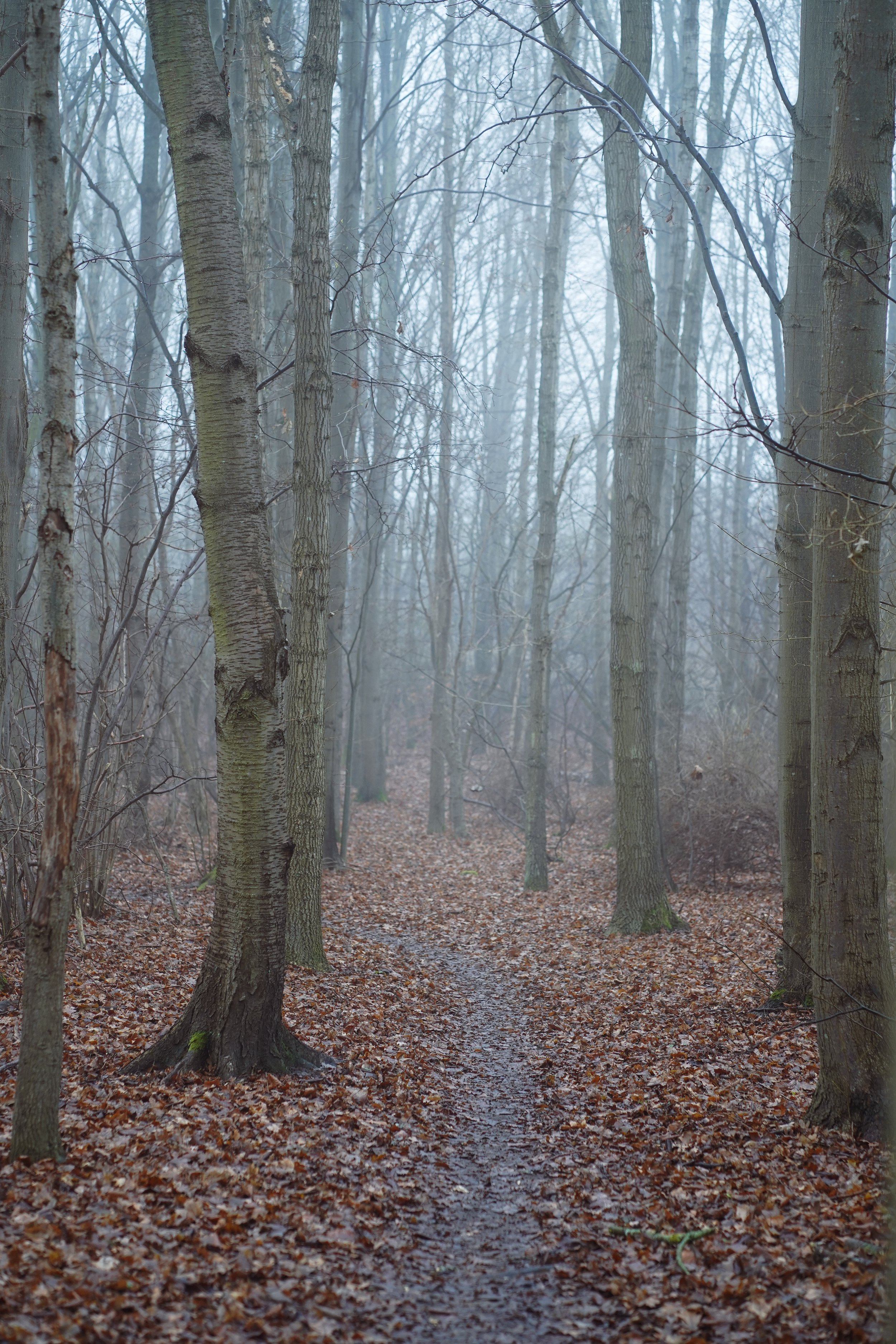 November - nytt arbetsblad