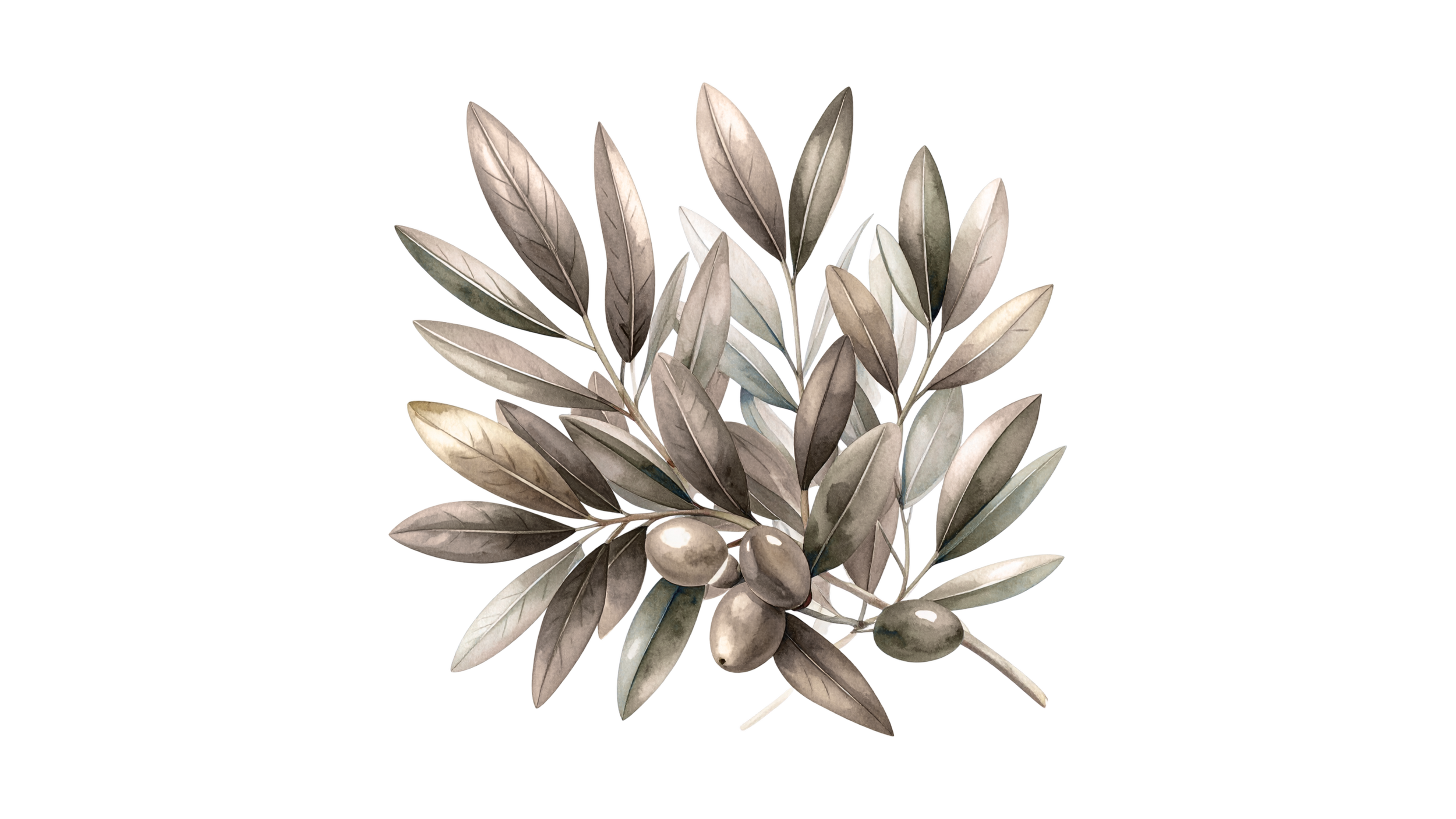 Olive branch symbol representing reclaimed authority, peace after inner conflict, and the end of identity war.