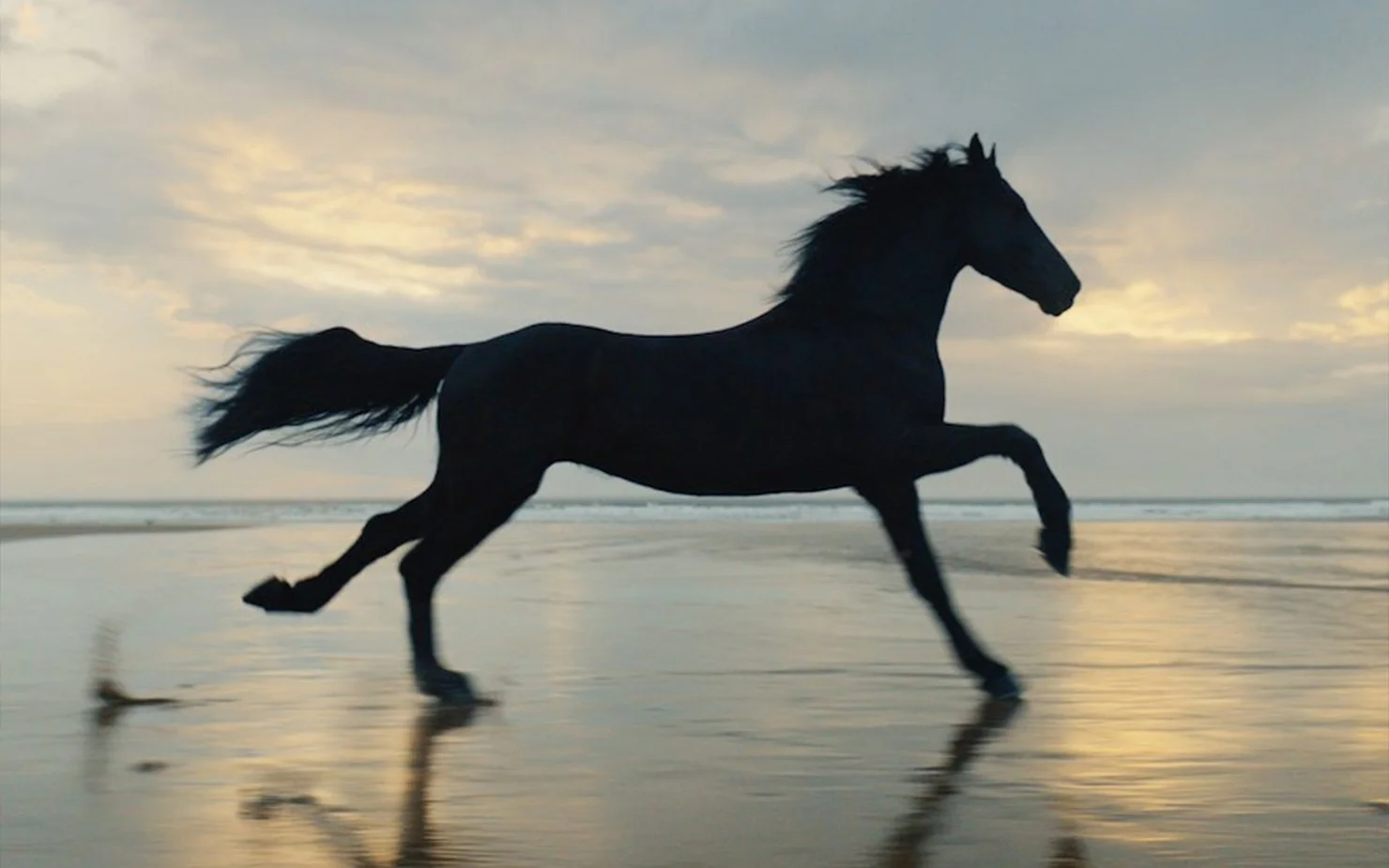 Lloyds Bank