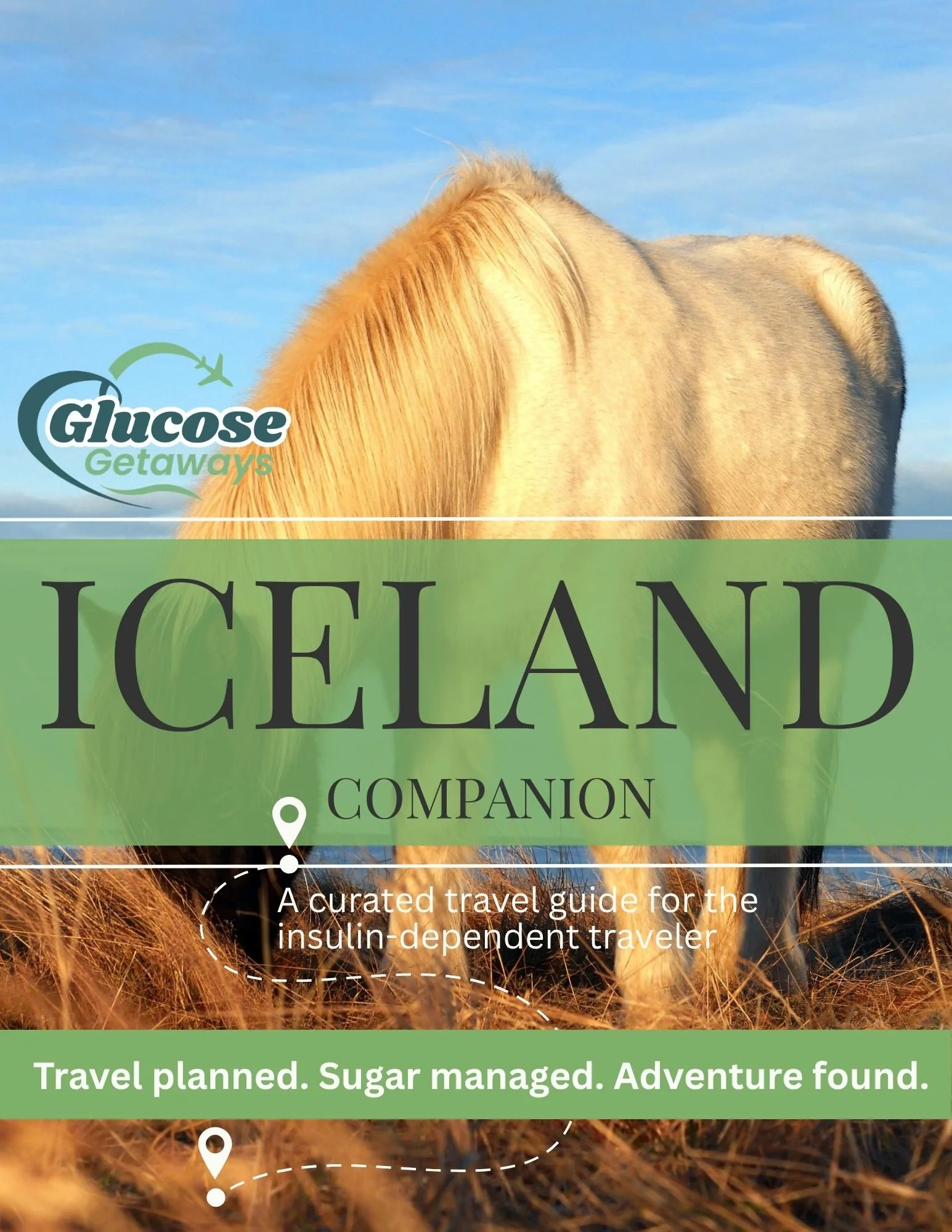 Cover page of my Iceland guidebook.