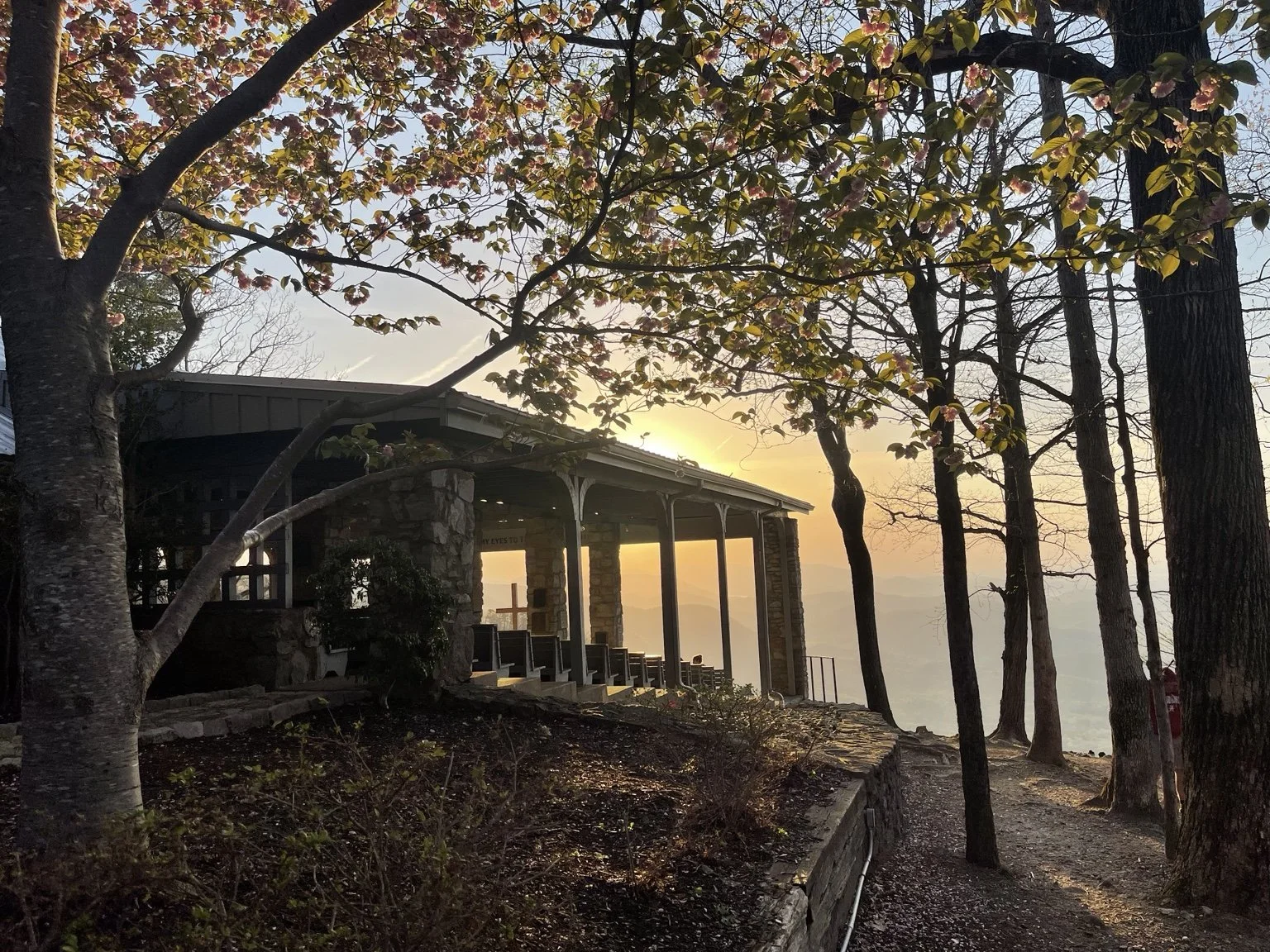 Mountain overlook surrounded by trees during a golden sunset.