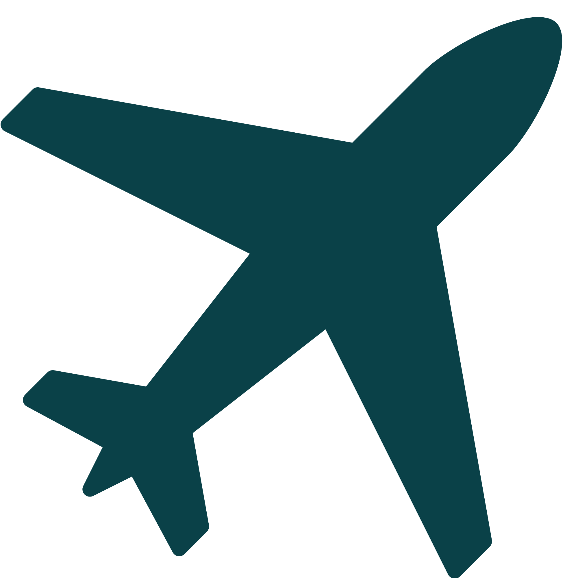 Airplane icon representing international flights traveled.