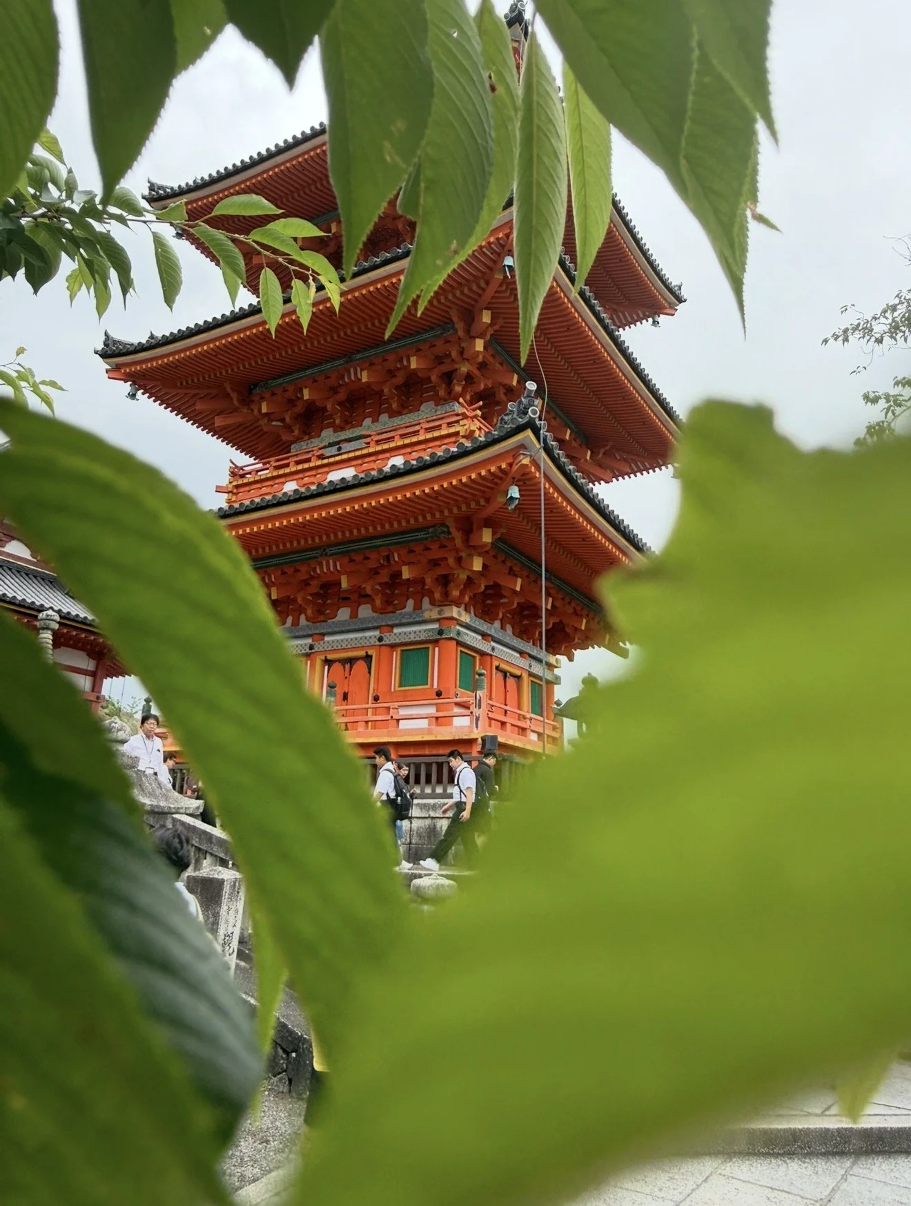 Bright red temple in Japan peaking through the bright green leaf's of a tree.