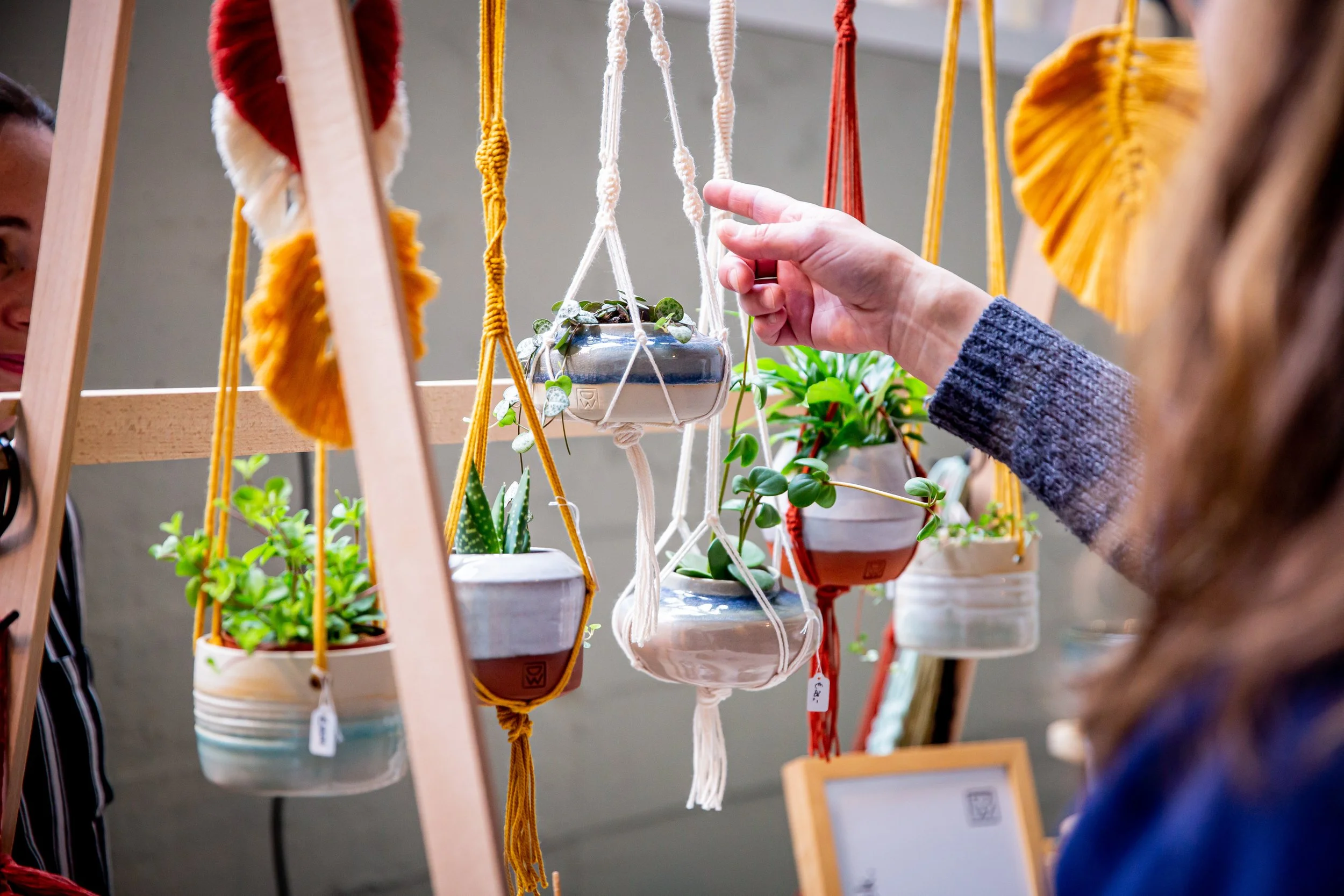Person touching hanging potted plants at a display stand, with colorful yarn plant hangers and various lush green plants.