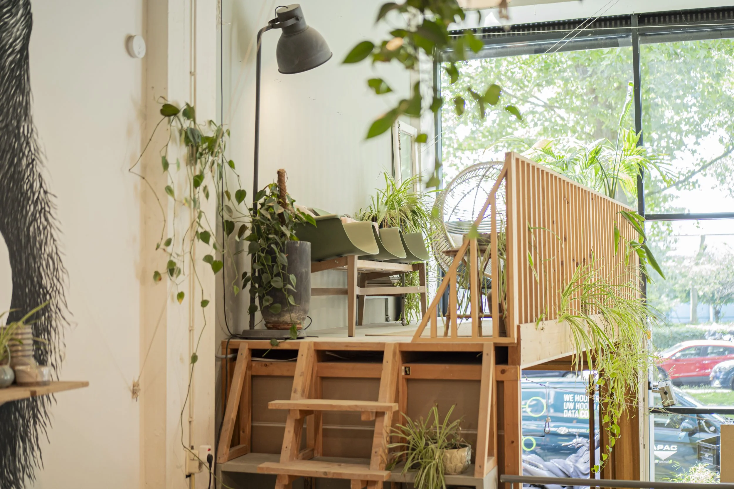 Interior of a room with a wooden platform, potted plants, a black floor lamp, a large window with trees visible outside, and various decorative items.