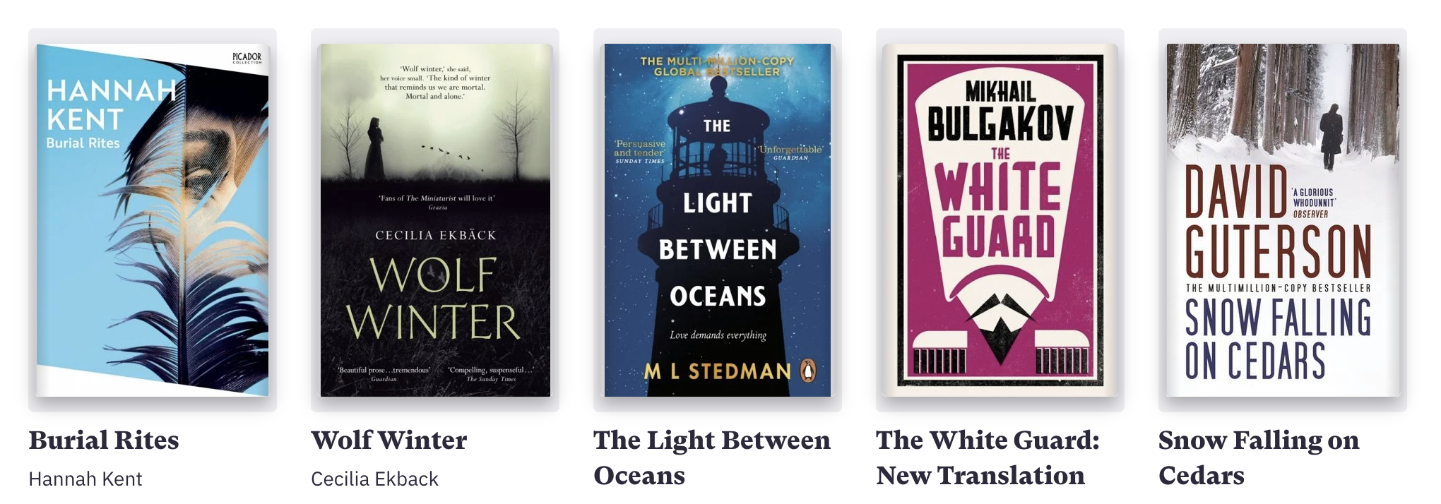 Covers of winter historical fiction books