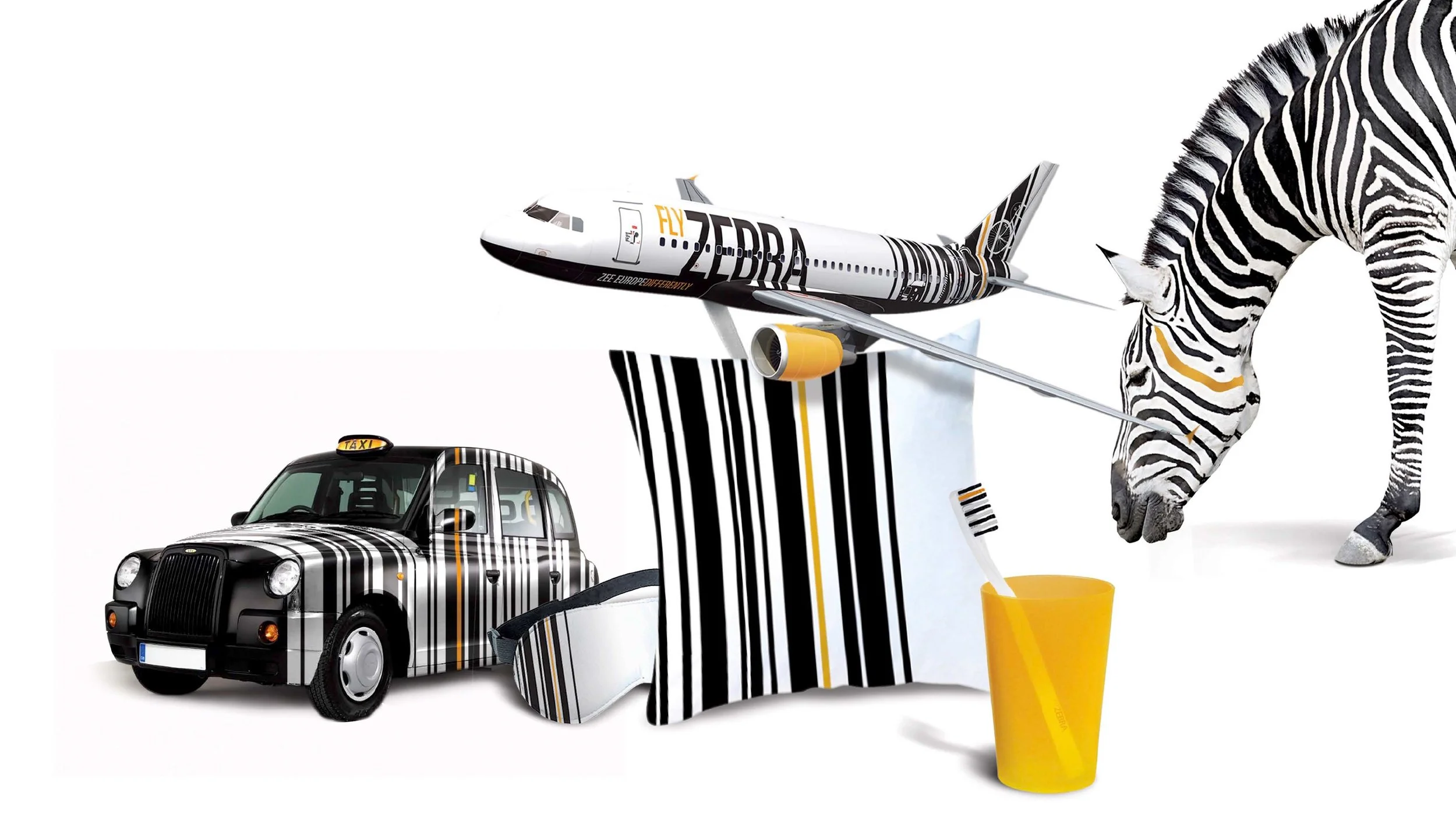 Fly_Zebra-02.jpg