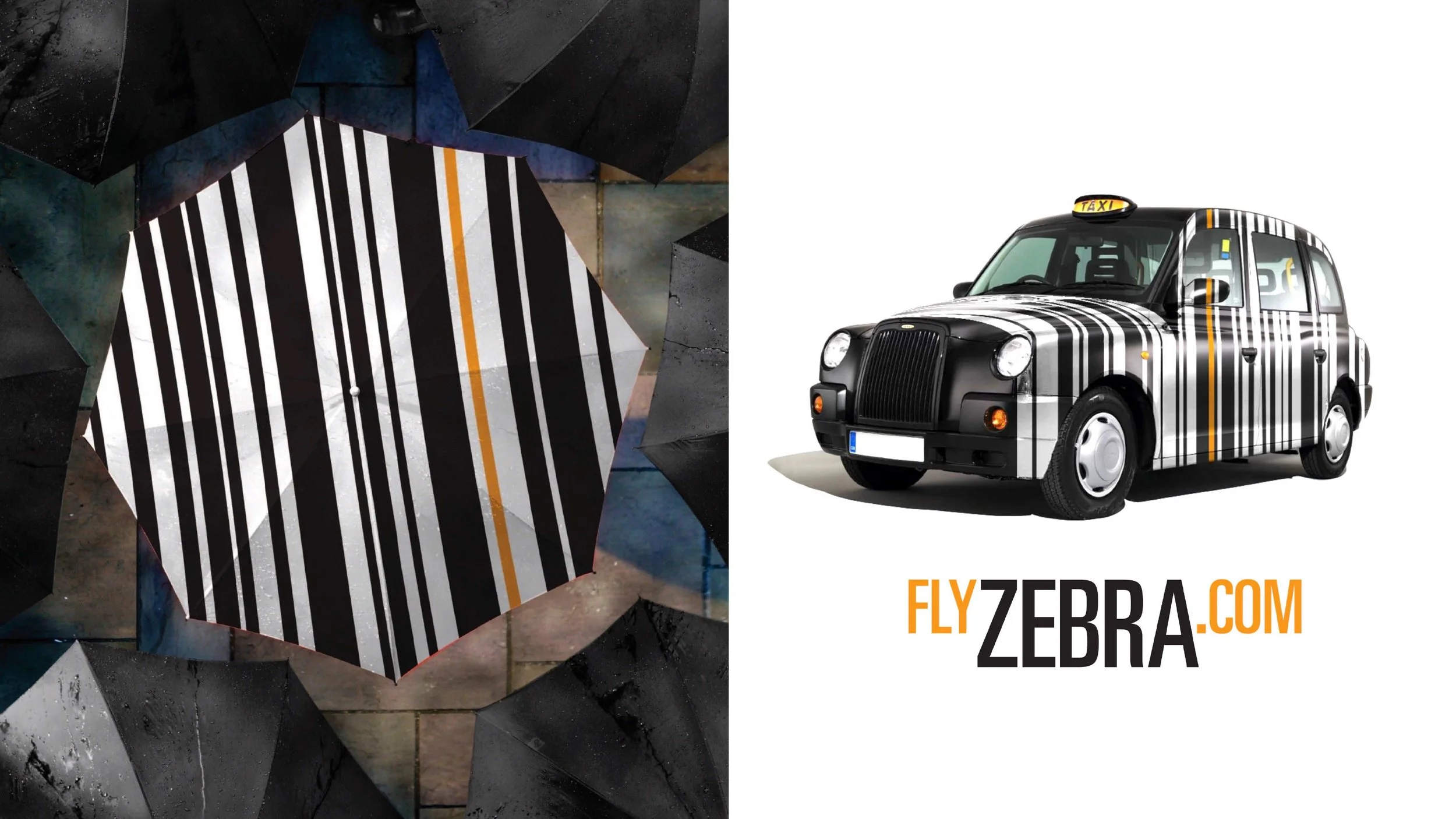 Fly_Zebra-05.jpg