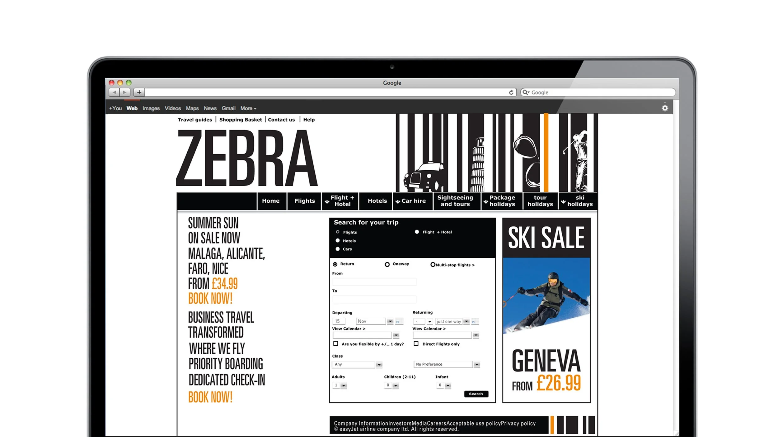 Fly_Zebra-03.jpg