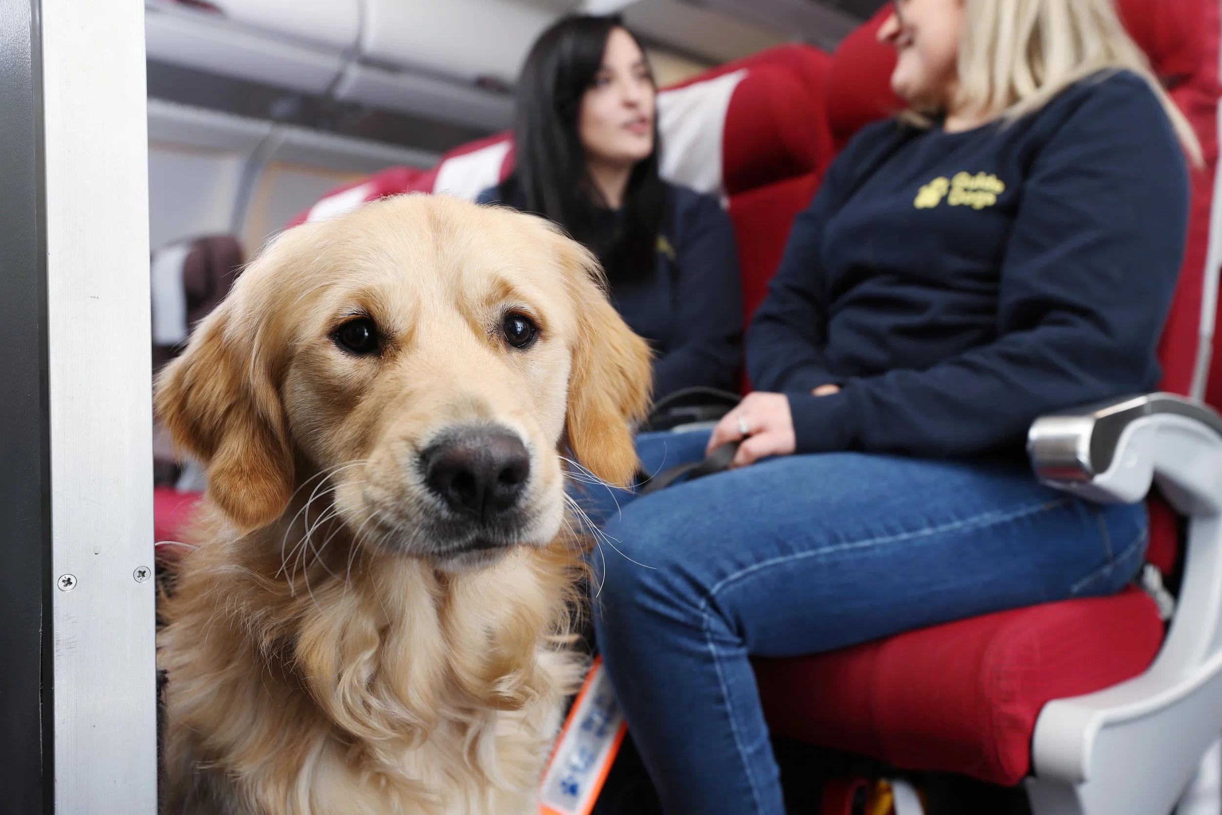 Virgin_Atlantic_Guide_Dogs_Partnership_2.jpeg