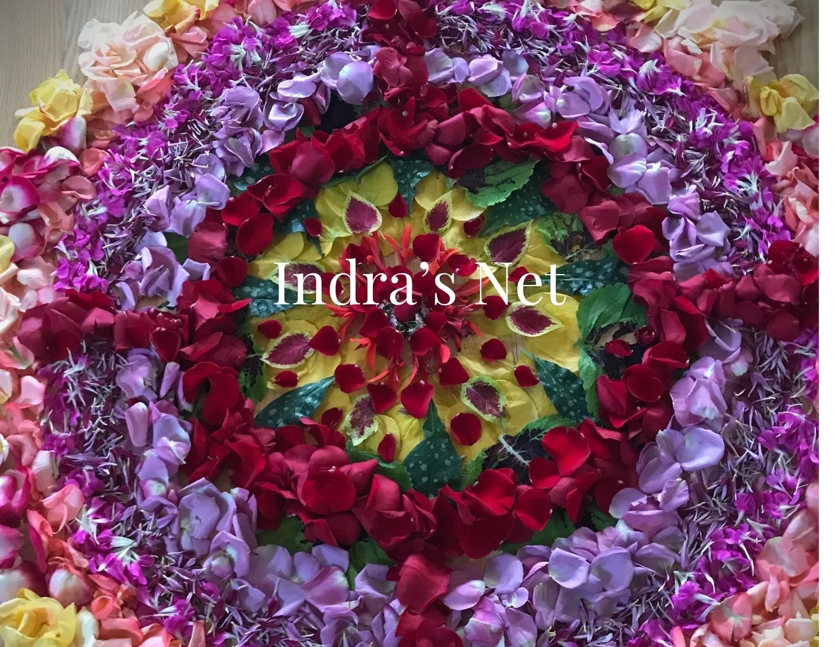 Indra's Net - May 1