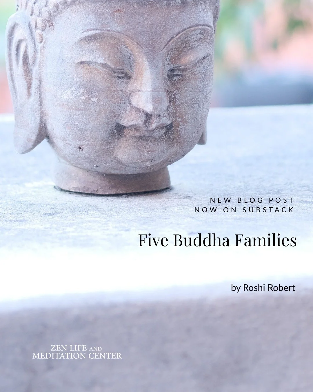Our Abbot, Roshi Robert Joshin Althouse, reflects on the Five Buddha Families, awakened and unawakened energy, and the patterns that shape our lives.

https://muddywaters.substack.com/p/five-wisdom-energies

muddywaters.substack.com