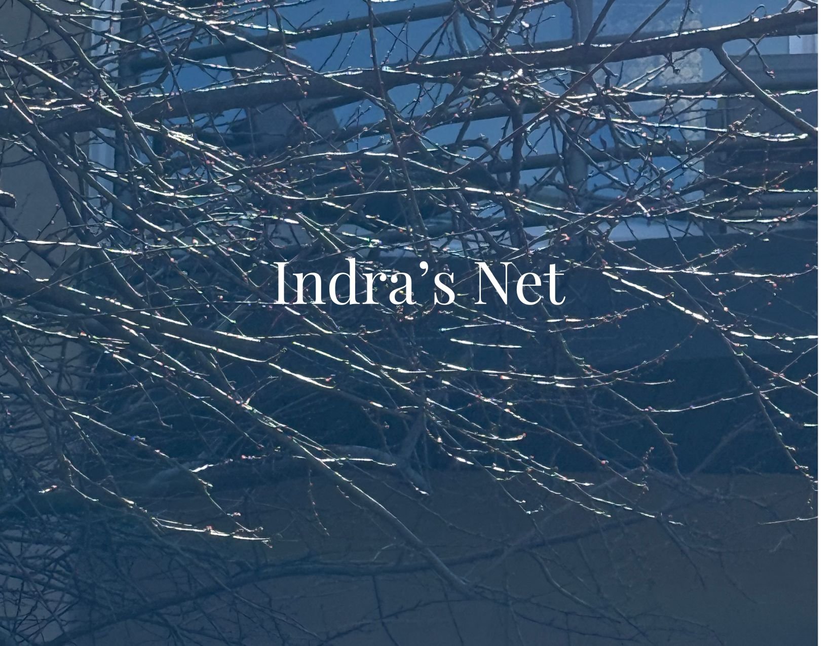 Indra's Net - May 1