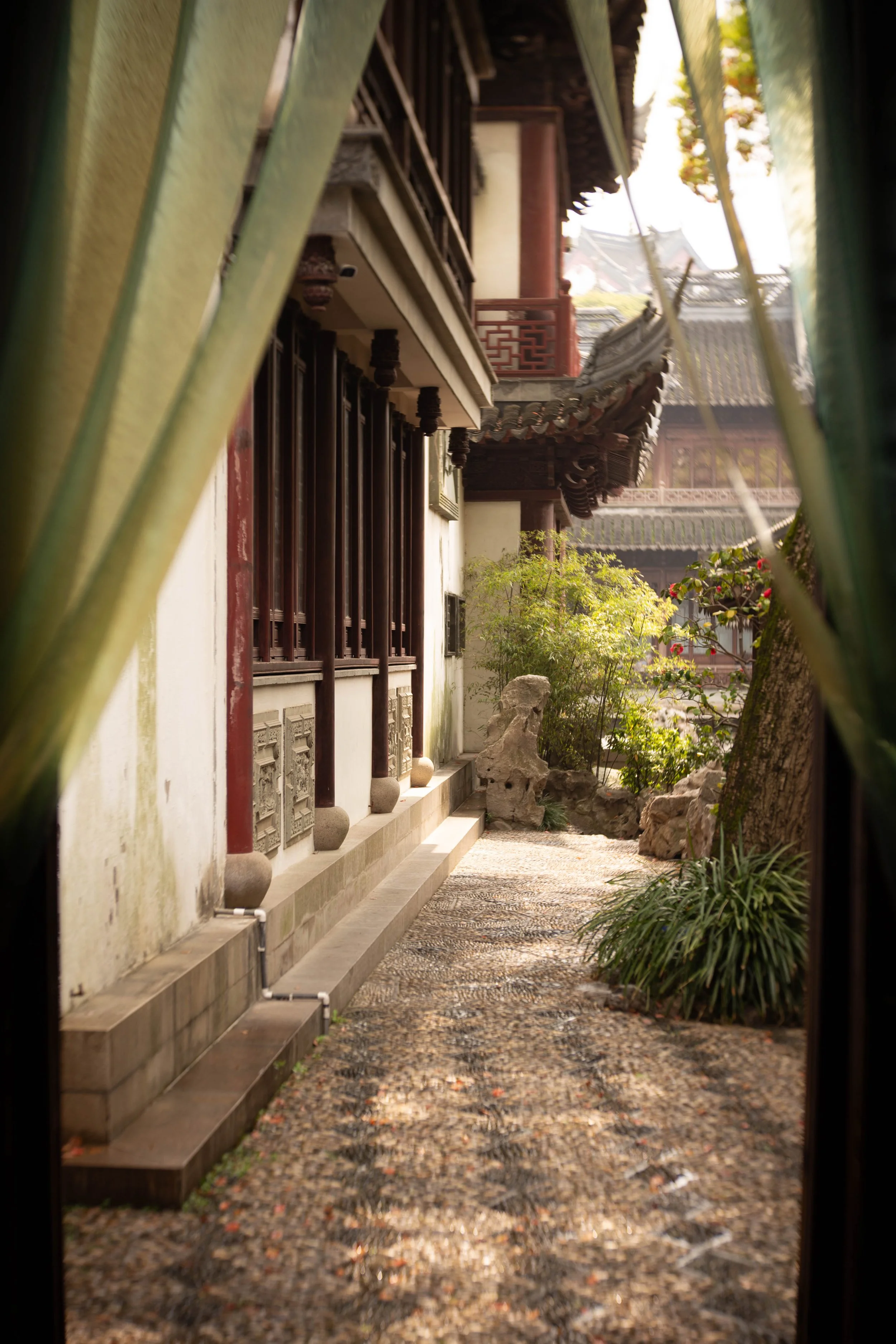 Yunnan 02042018-4.jpg