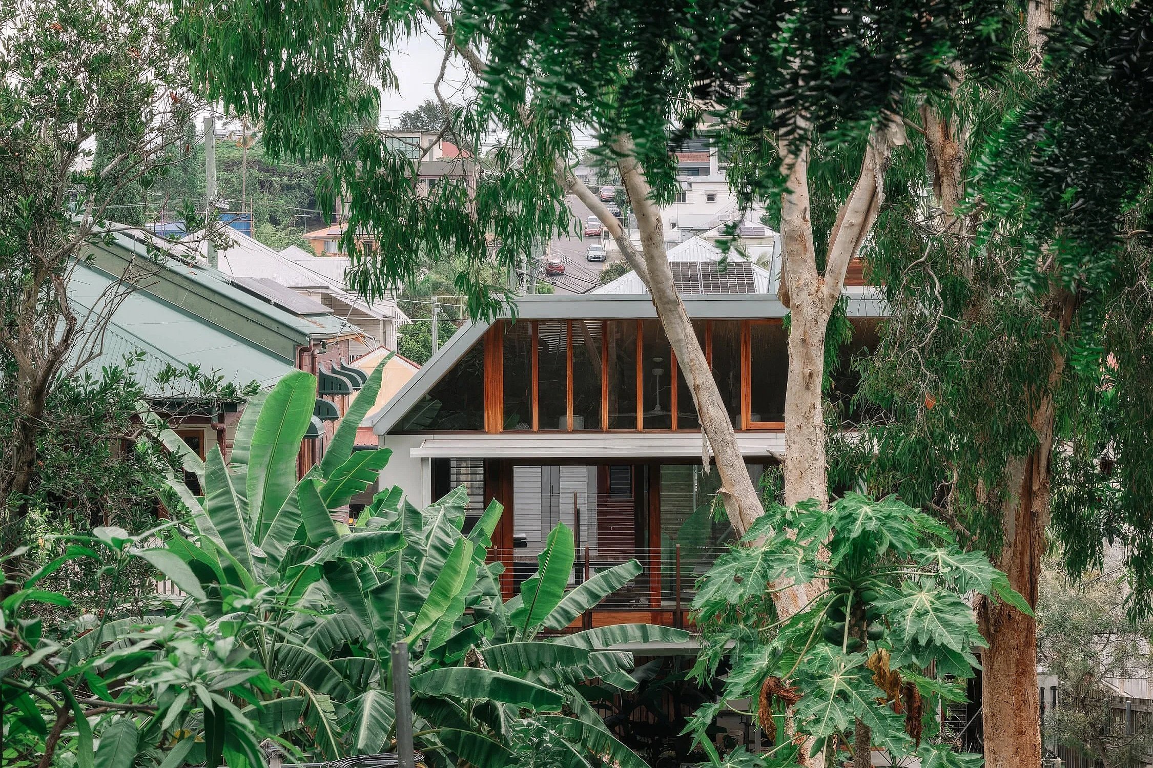 Modern multi-story house with a balcony and wooden-framed windows, nestled among lush tropical plants and tall trees, overlooks a residential street.