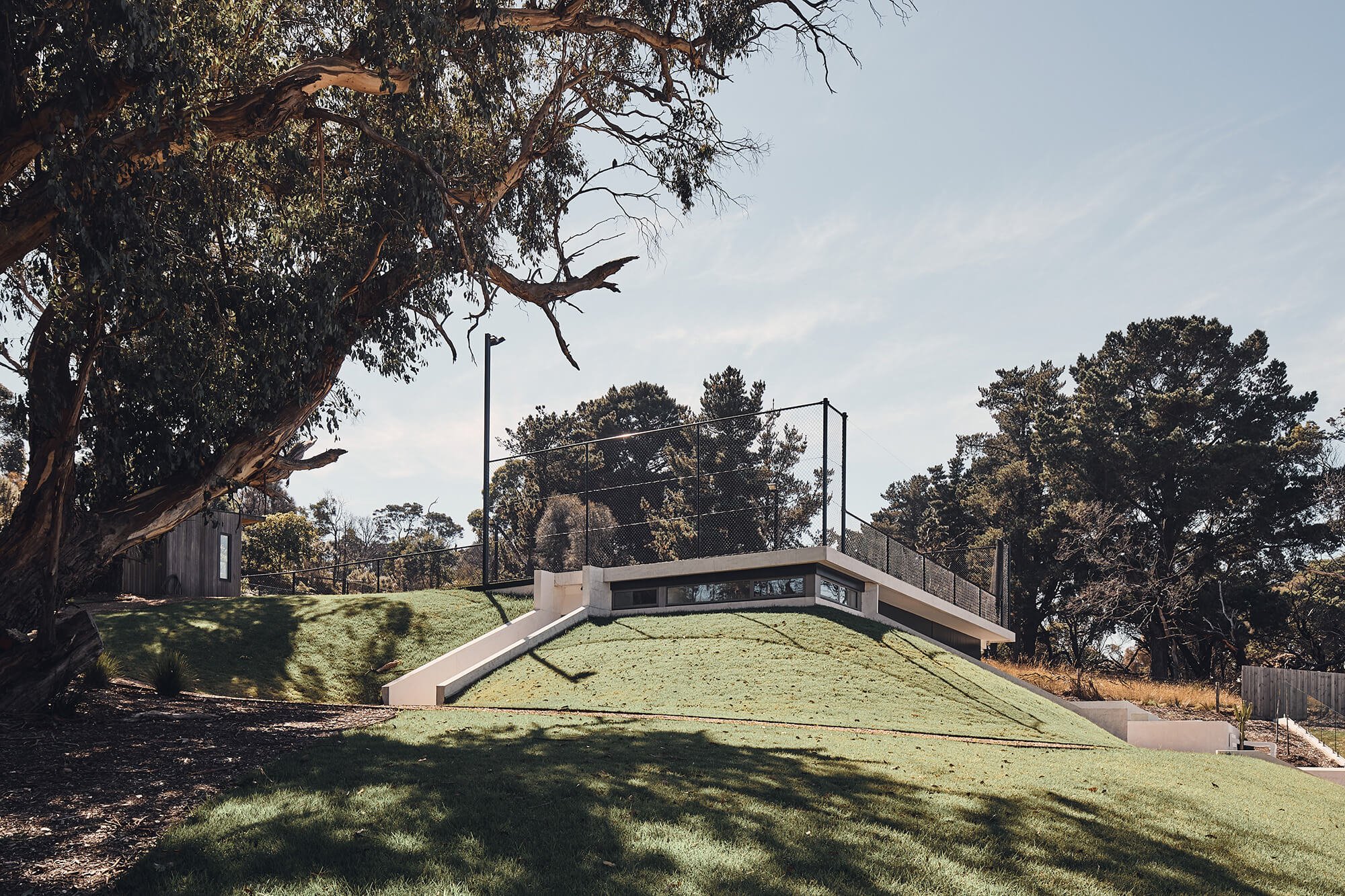 A modern, partially subterranean building with horizontal windows is embedded in a green grassy hill, topped by a black chain-link fence, with a concrete ramp leading up, and framed by a large, gnarled tree.