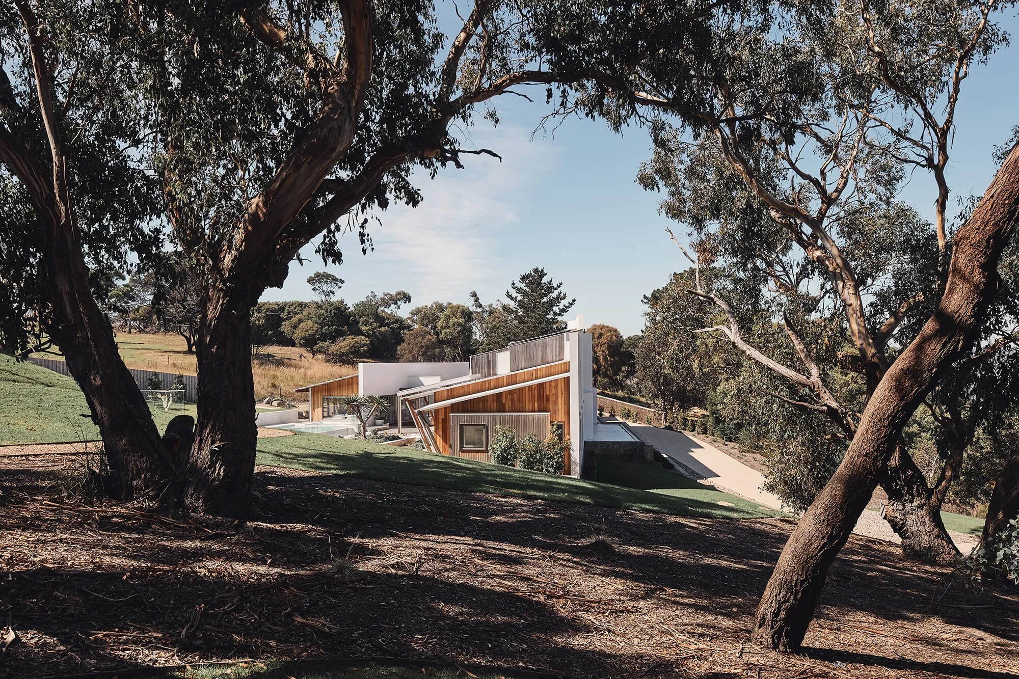 A contemporary house with wood and white panels is framed by large eucalyptus trees on a grassy hillside under a clear sky.