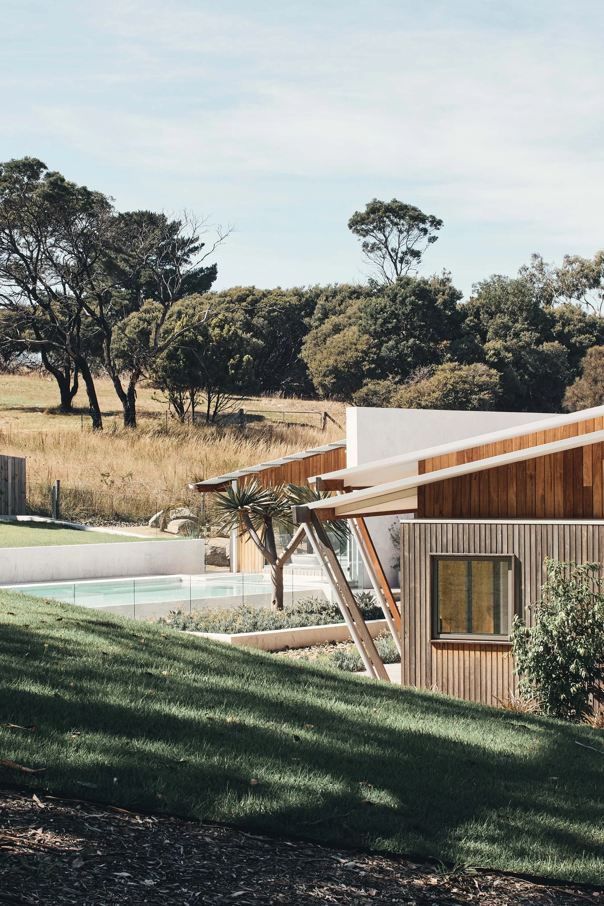 A modern house with wood paneling and a swimming pool is set into a sunny, grassy slope, with dry fields and dense woodland behind it under a bright sky.