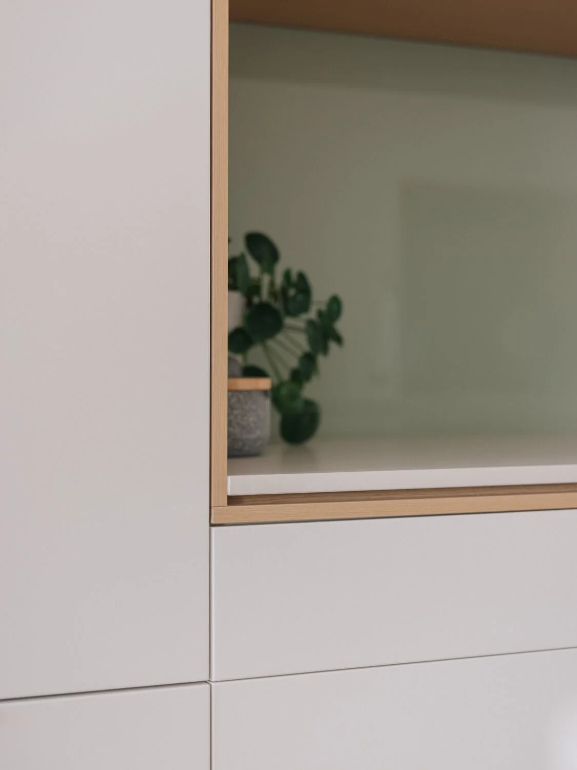 A small potted plant sits on a white shelf within a light wood-framed cubby of a modern light-colored cabinet, against a blurred soft green background.