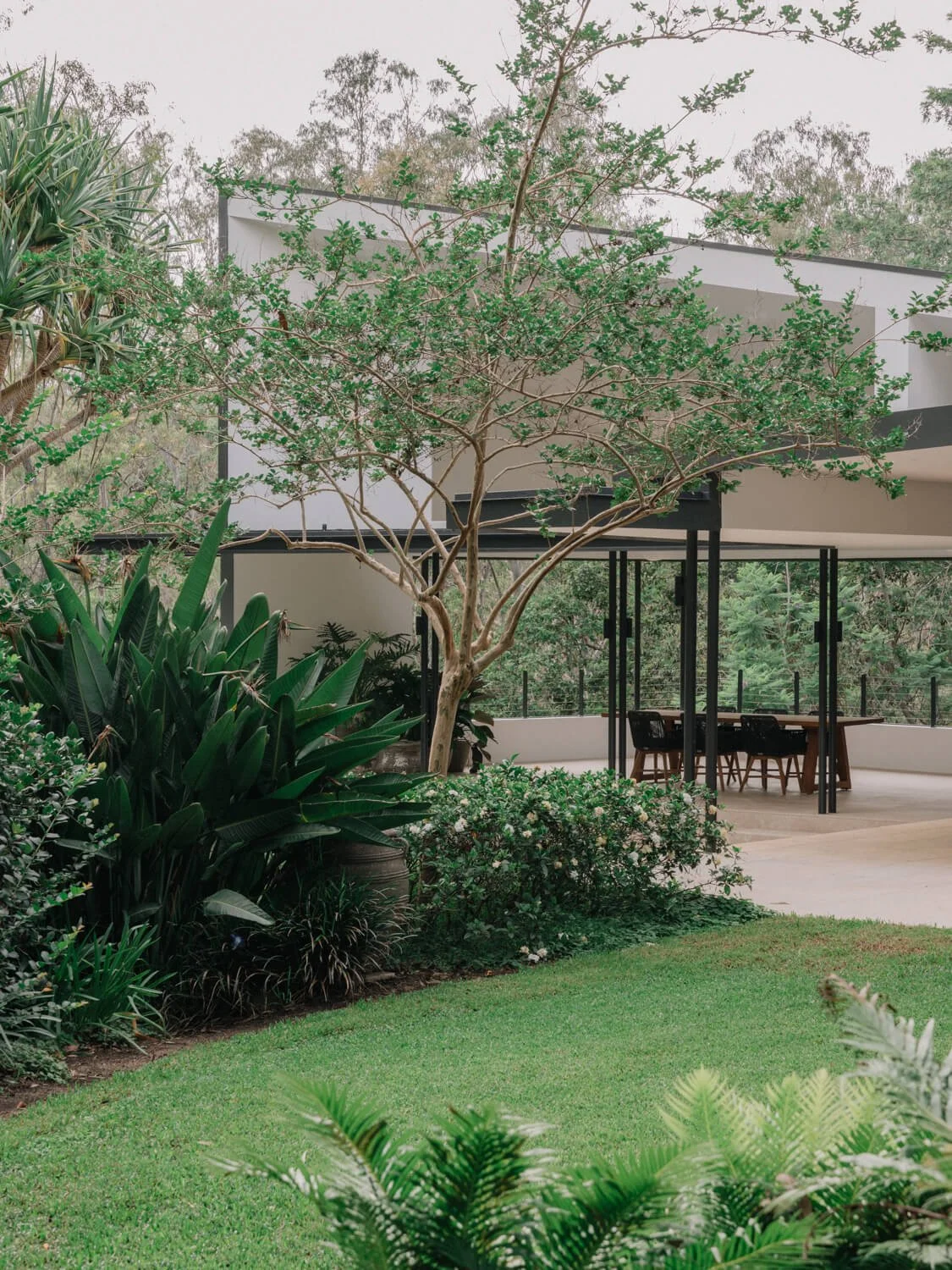 Modern house with an outdoor patio, surrounded by lush green plants and trees, with a lawn in the foreground.
