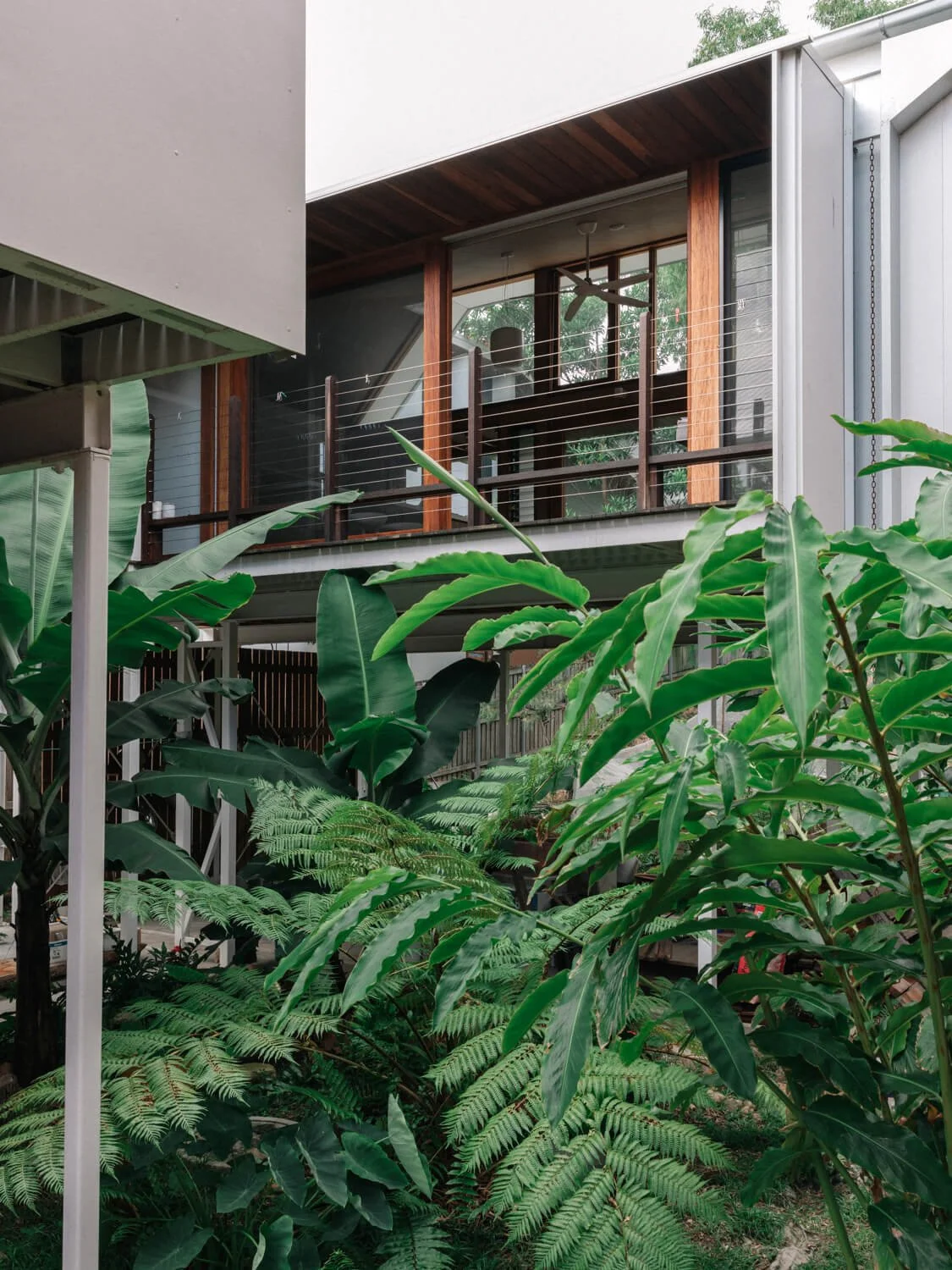 Dense tropical foliage, including ferns and broad leaves, foregrounds a modern multi-story building with a wood-accented balcony and large glass windows.