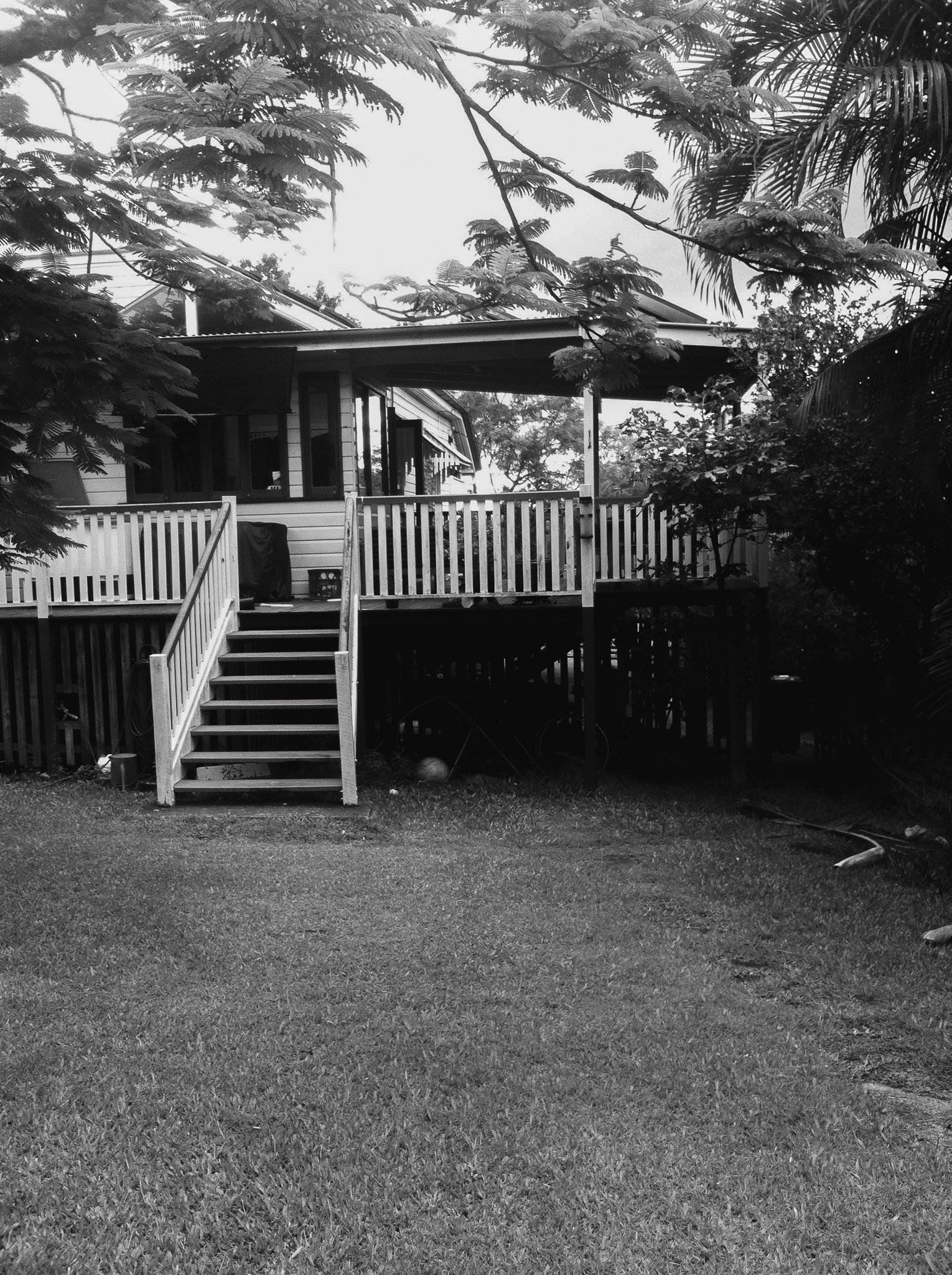 Monochrome view of a raised house with a prominent staircase leading to a front porch, set amidst a grassy yard and dense foliage.