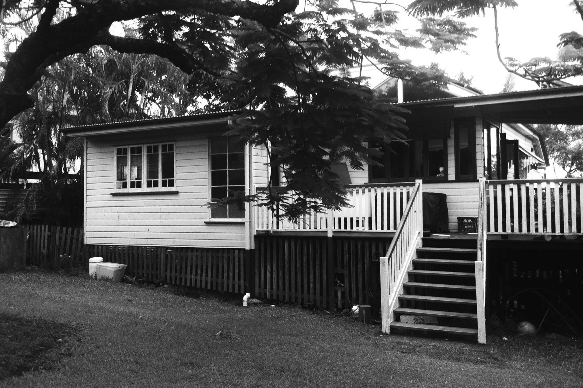 A black and white view of a raised timber house with a white-railed deck and stairs leading to a grassy yard, framed by dense, dark trees.