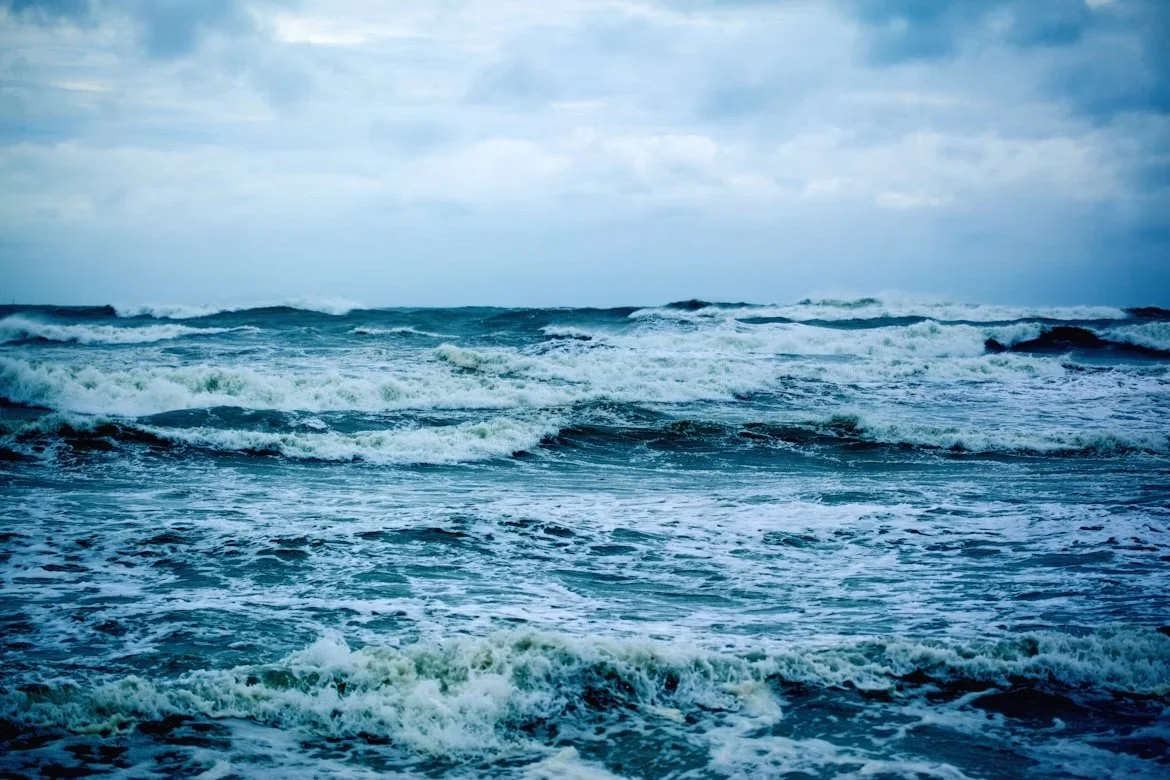 Nature on the Board — in the words of those who are living it