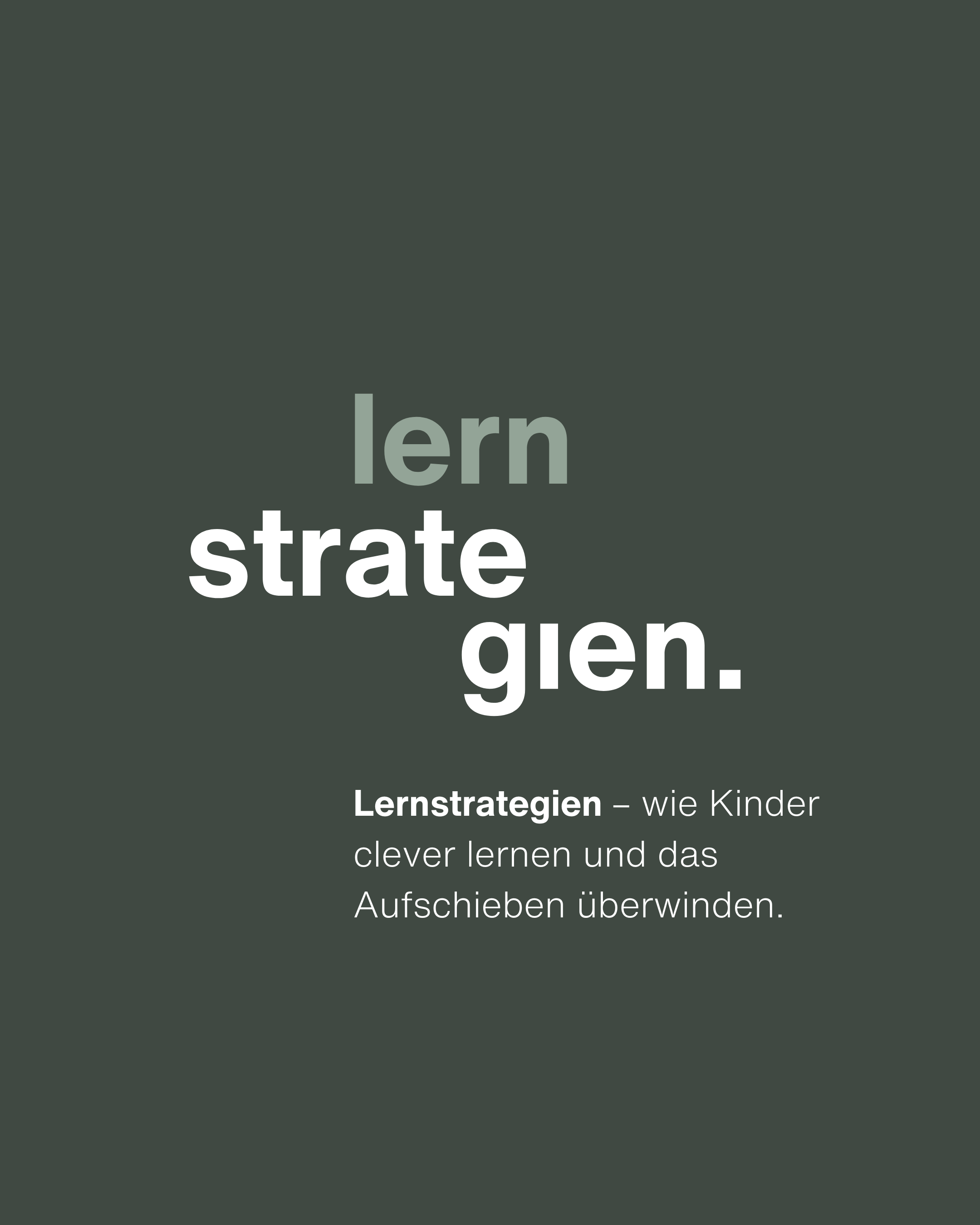 N°10 – Lernstrategien