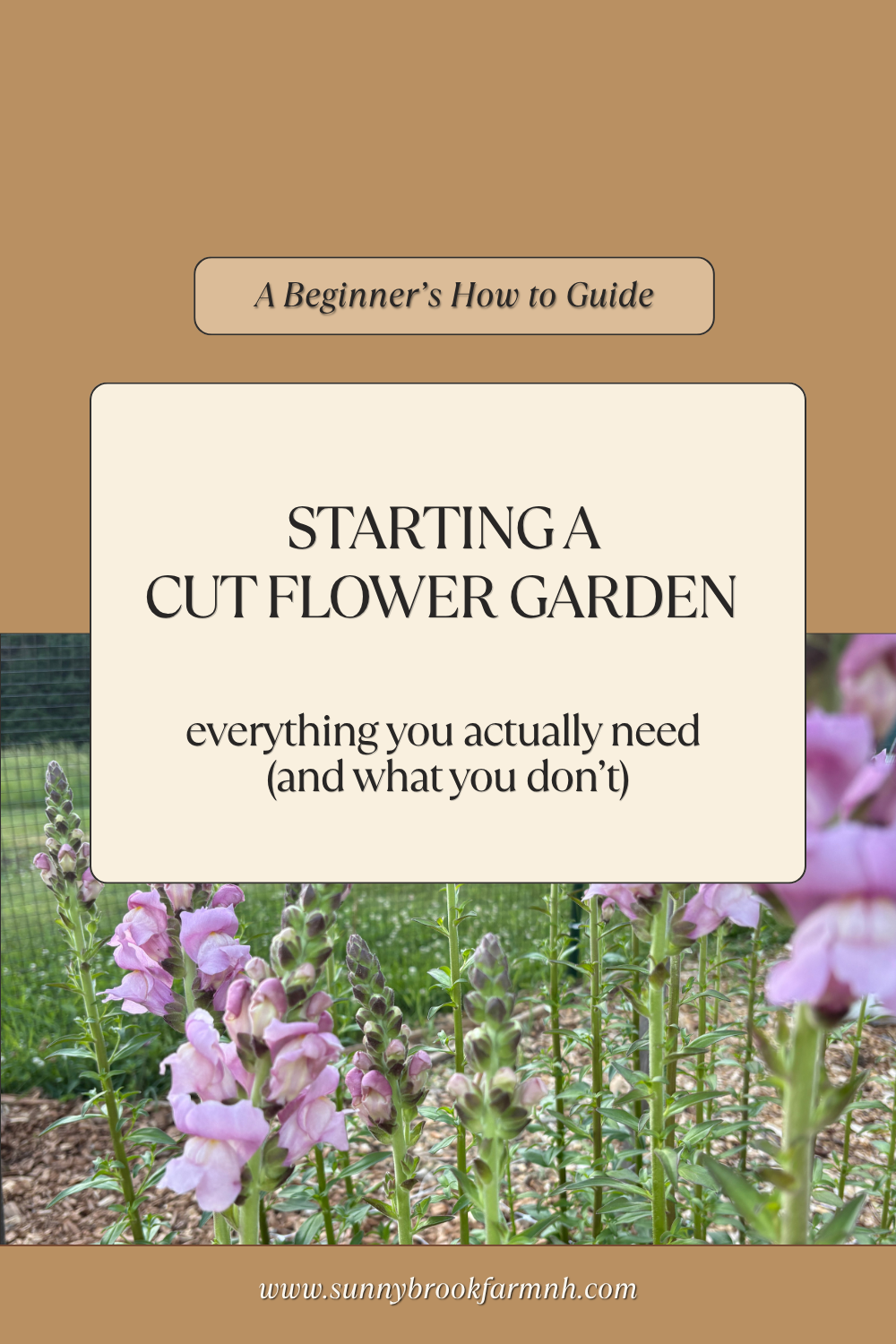 Starting A Cut Flower Garden Beginner's Guide