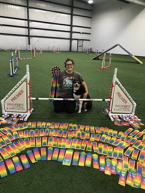 A woman and a dog inside an indoor dog agility training facility, sitting behind a small hurdle, with awards and ribbon rosettes displayed in front of them and agility equipment in the background.