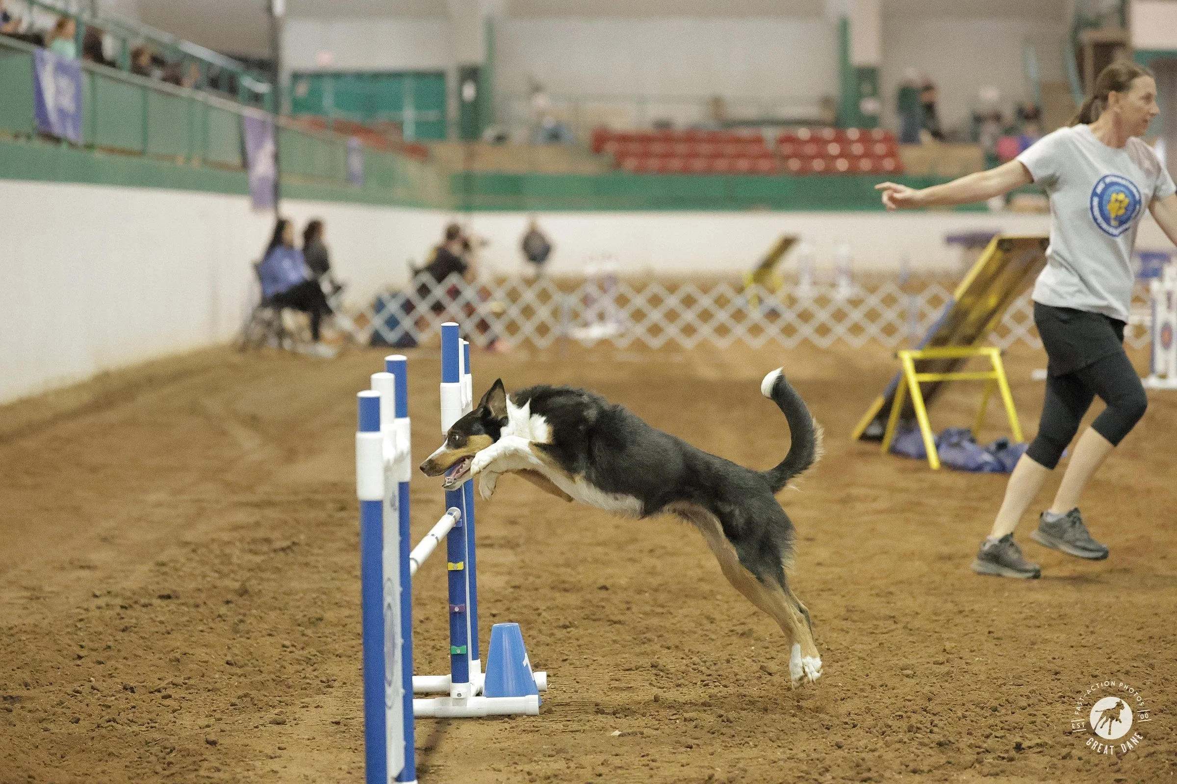 Agility Private Lessons