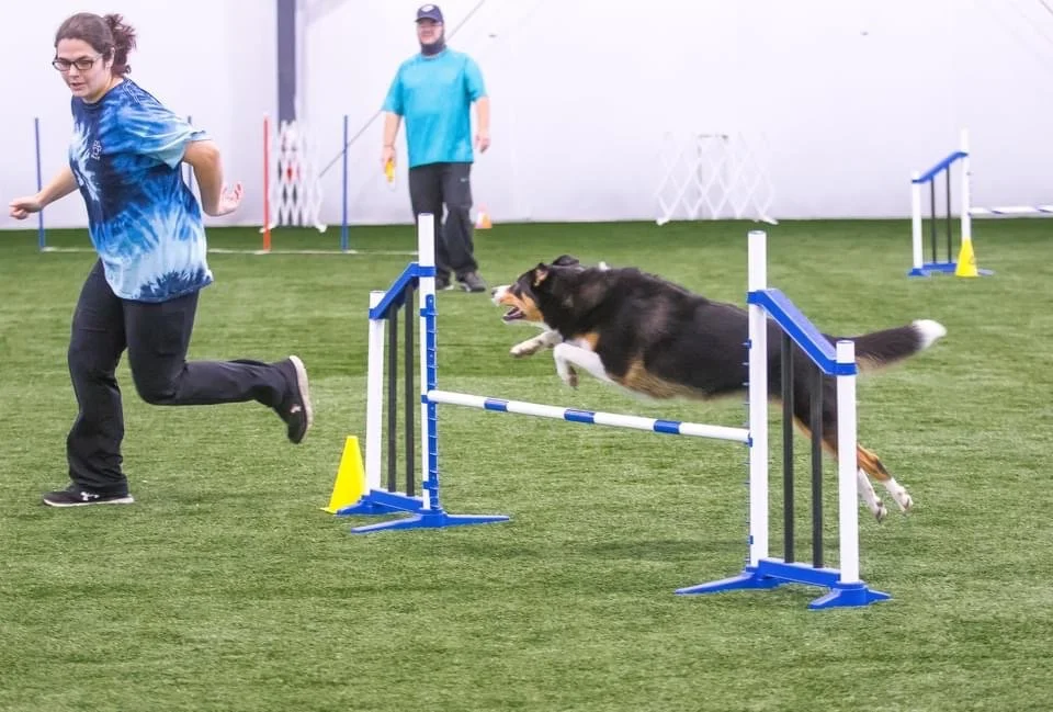 Agility Workshops!