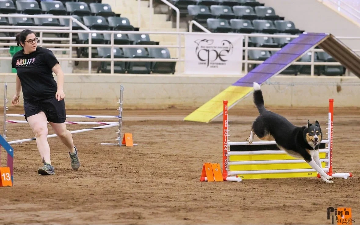 Agility Workshops!