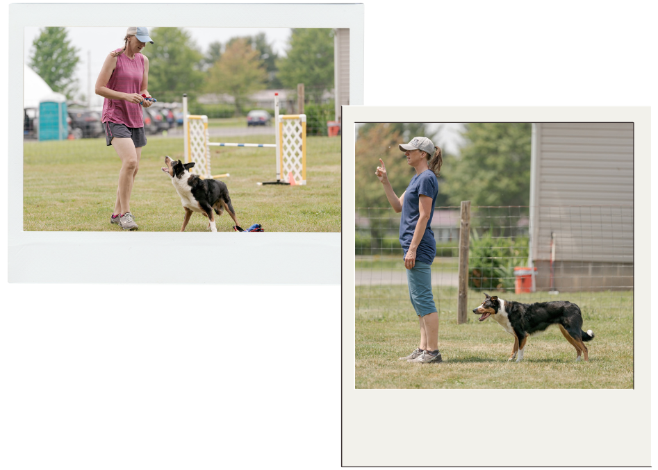 Two women with herding dogs outdoors during a dog training or agility class, with equipment and a grassy field in the background.