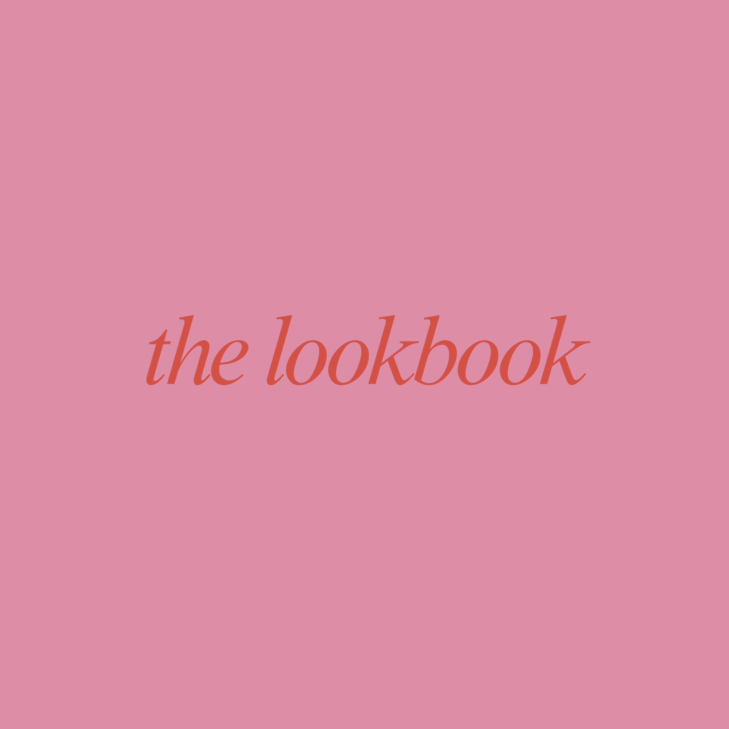 PACKAGE TWO: The Lookbook