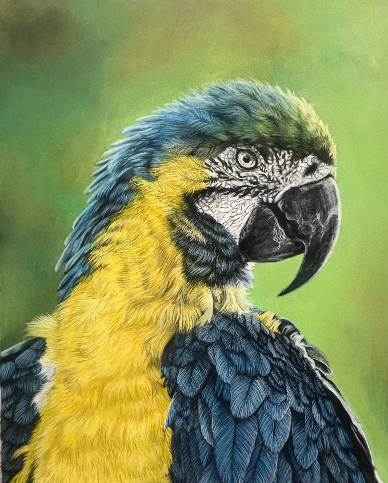 Explore the gallery here - This is a comprehensive overview of my artistry