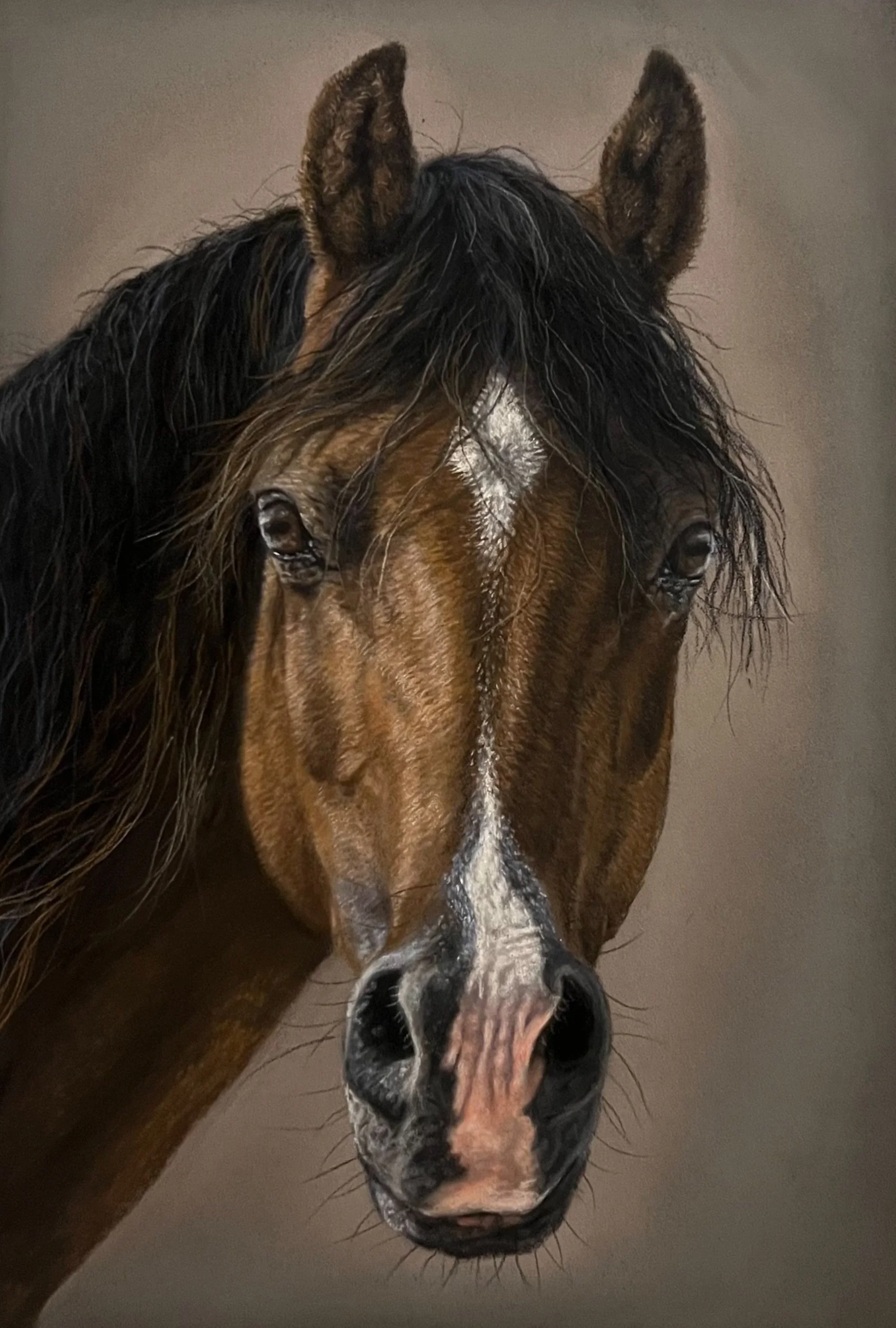 Close-up of a brown horse with a white stripe on its face, wet mane, and expressive eyes against a plain background.