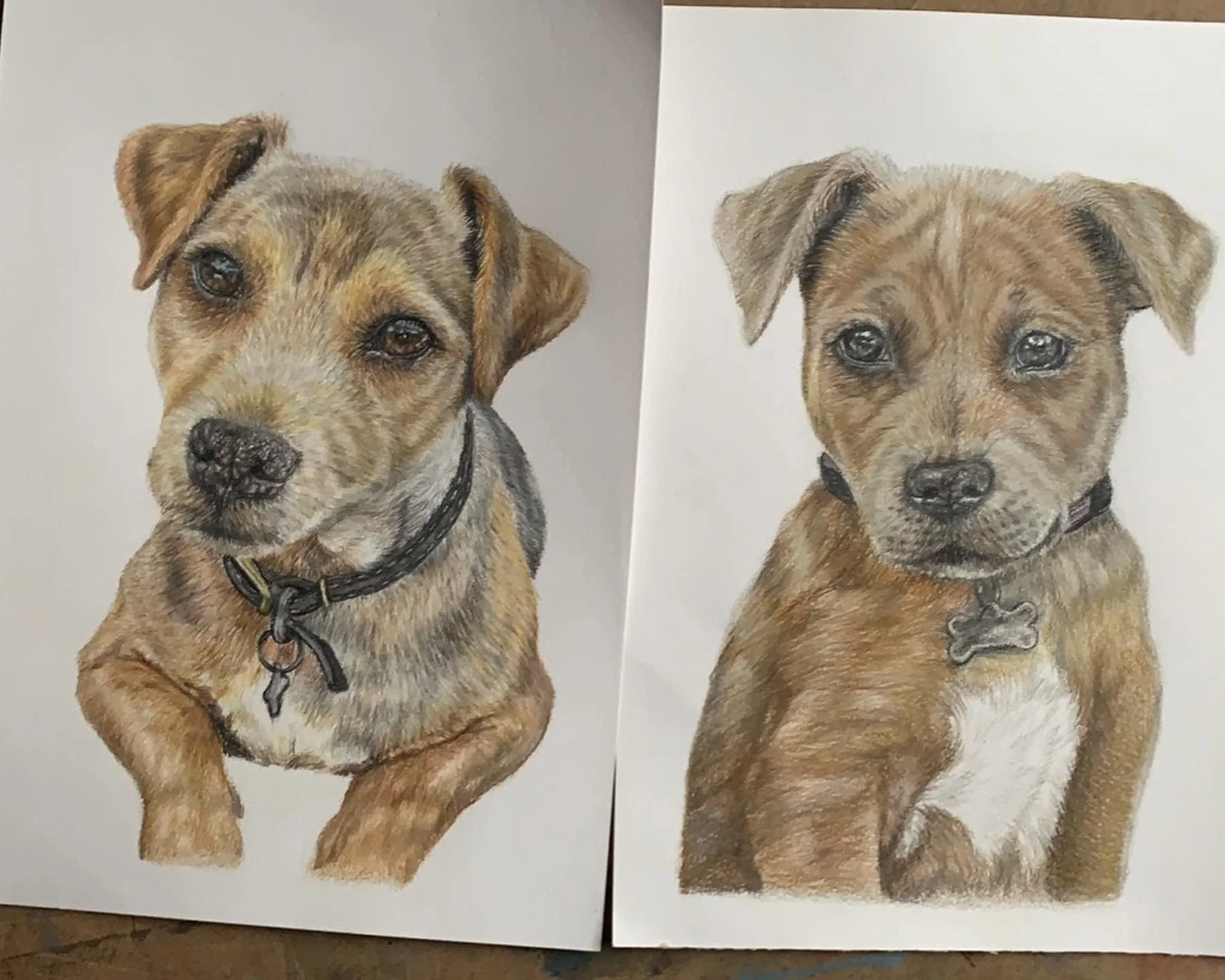double dog comission closer.jpg
