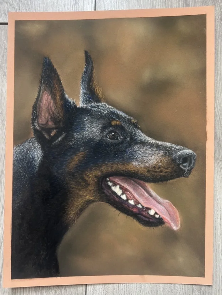 Portrait of a Belgian Malinois dog with its mouth open and tongue out, set against a blurred background.