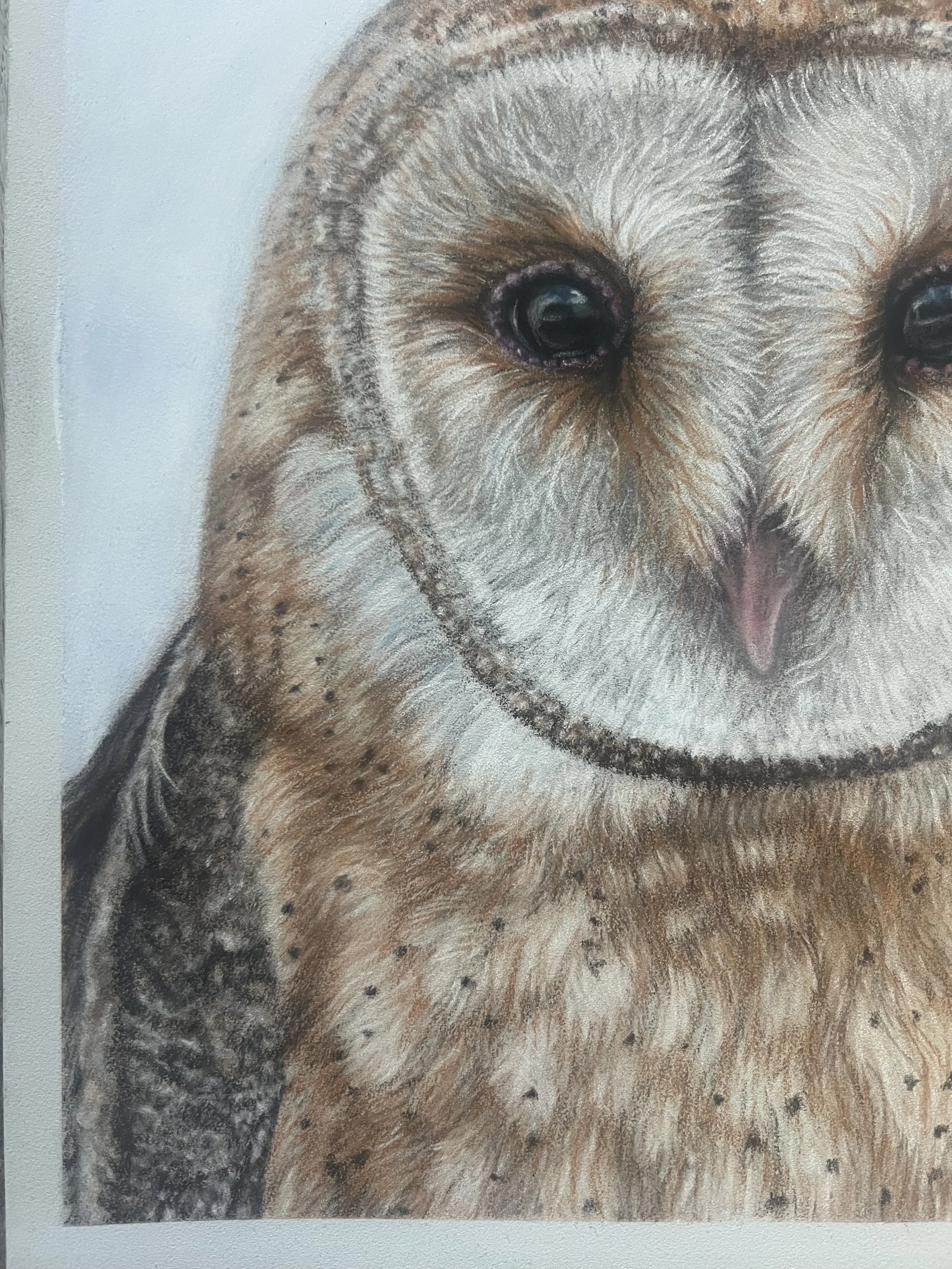 A painting of a barn owl with close-up focus on its face, large dark eyes, heart-shaped face, and detailed feathers.
