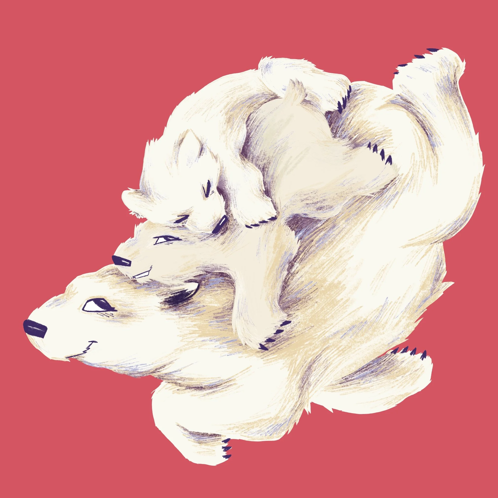 Polar Bear Mamma