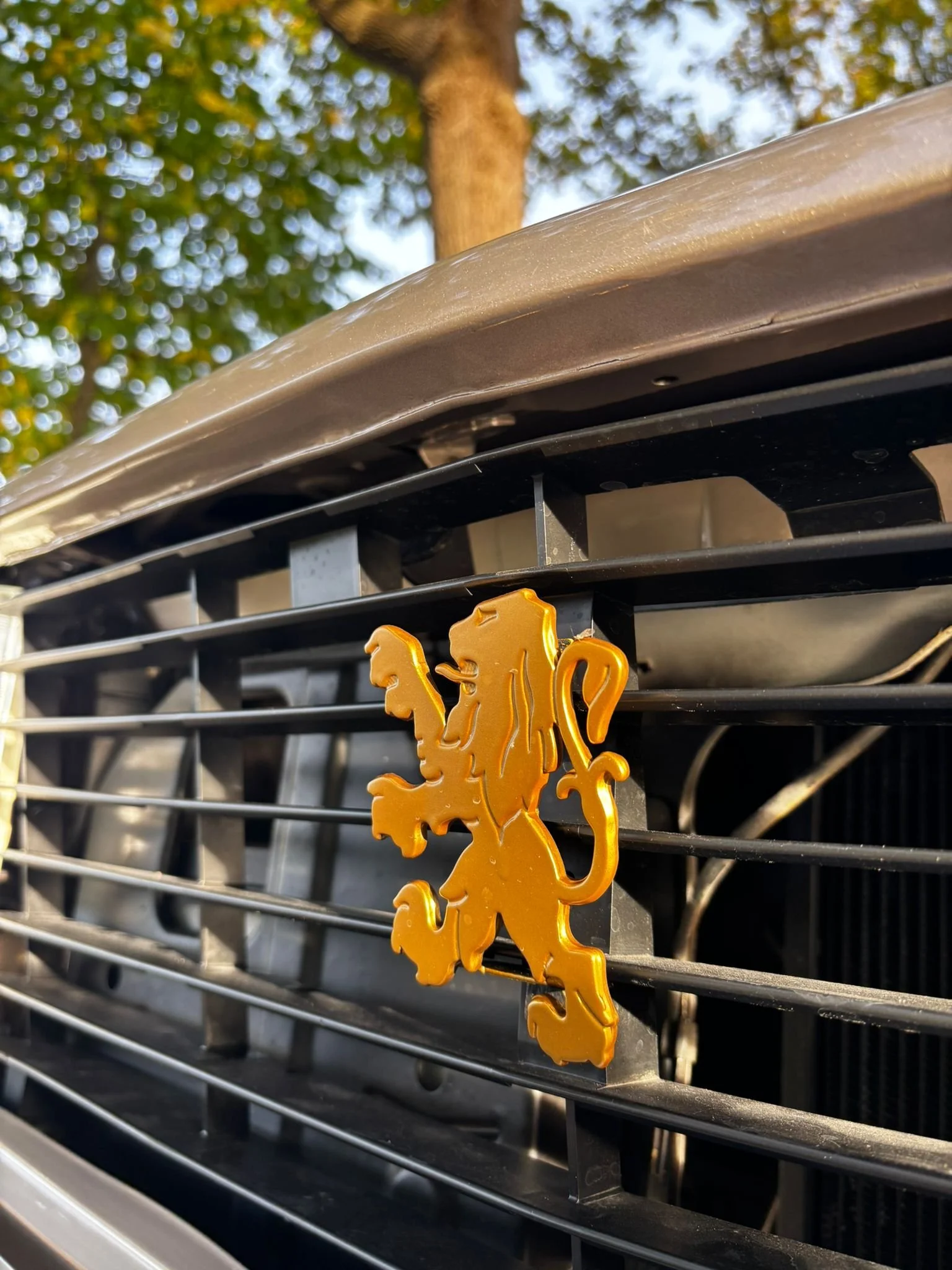 WhatsApp Image 2025-11-05 at 17.29.49 (5).jpeg