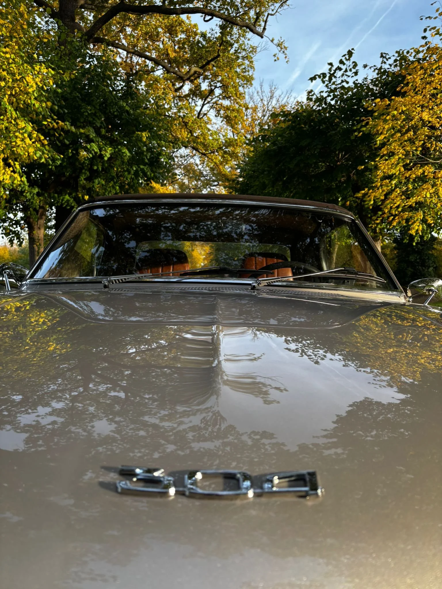 WhatsApp Image 2025-11-05 at 17.29.49 (6).jpeg