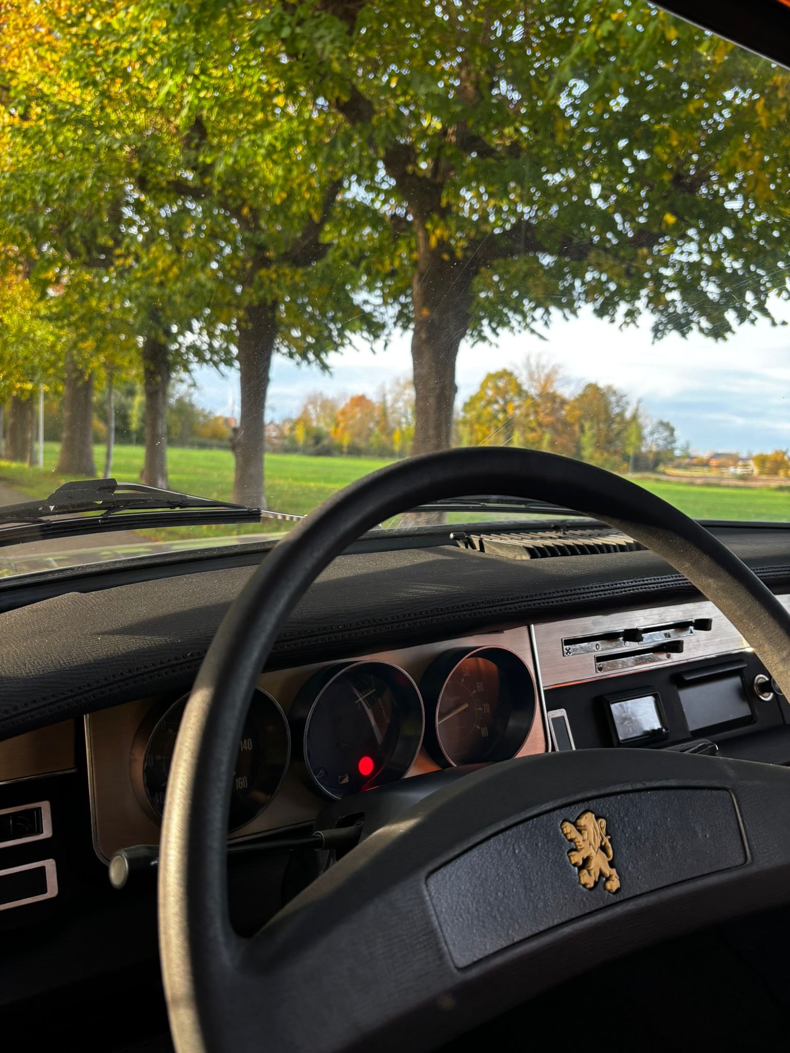 WhatsApp Image 2025-11-05 at 17.29.49 (2).jpeg