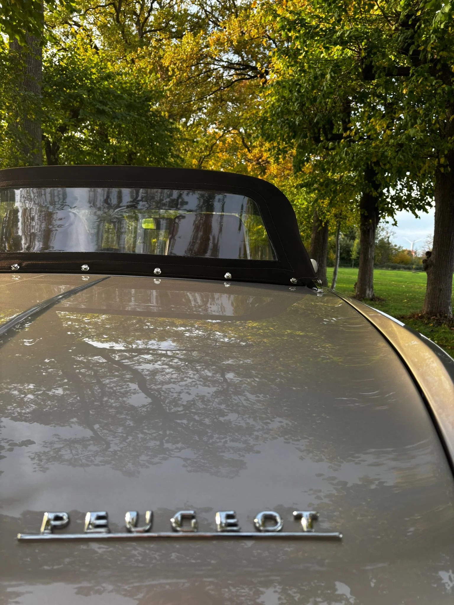 WhatsApp Image 2025-11-05 at 17.29.49.jpeg